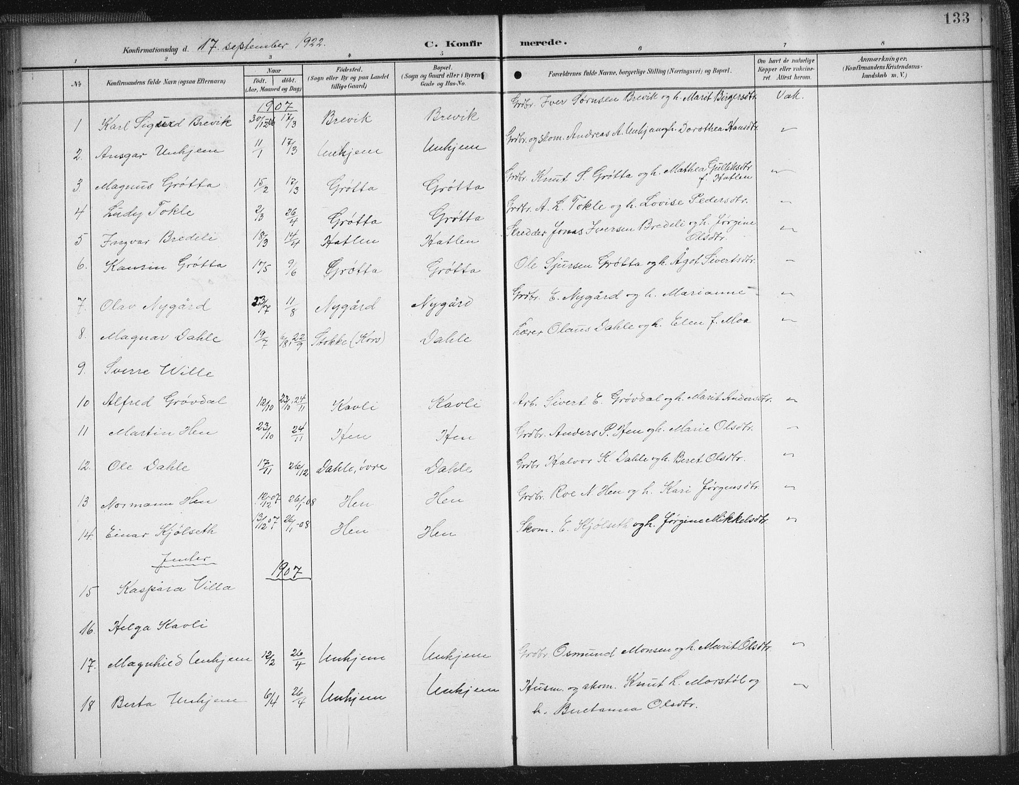 Ministerialprotokoller, klokkerbøker og fødselsregistre - Møre og Romsdal, SAT/A-1454/545/L0589: Parish register (copy) no. 545C03, 1902-1937, p. 133