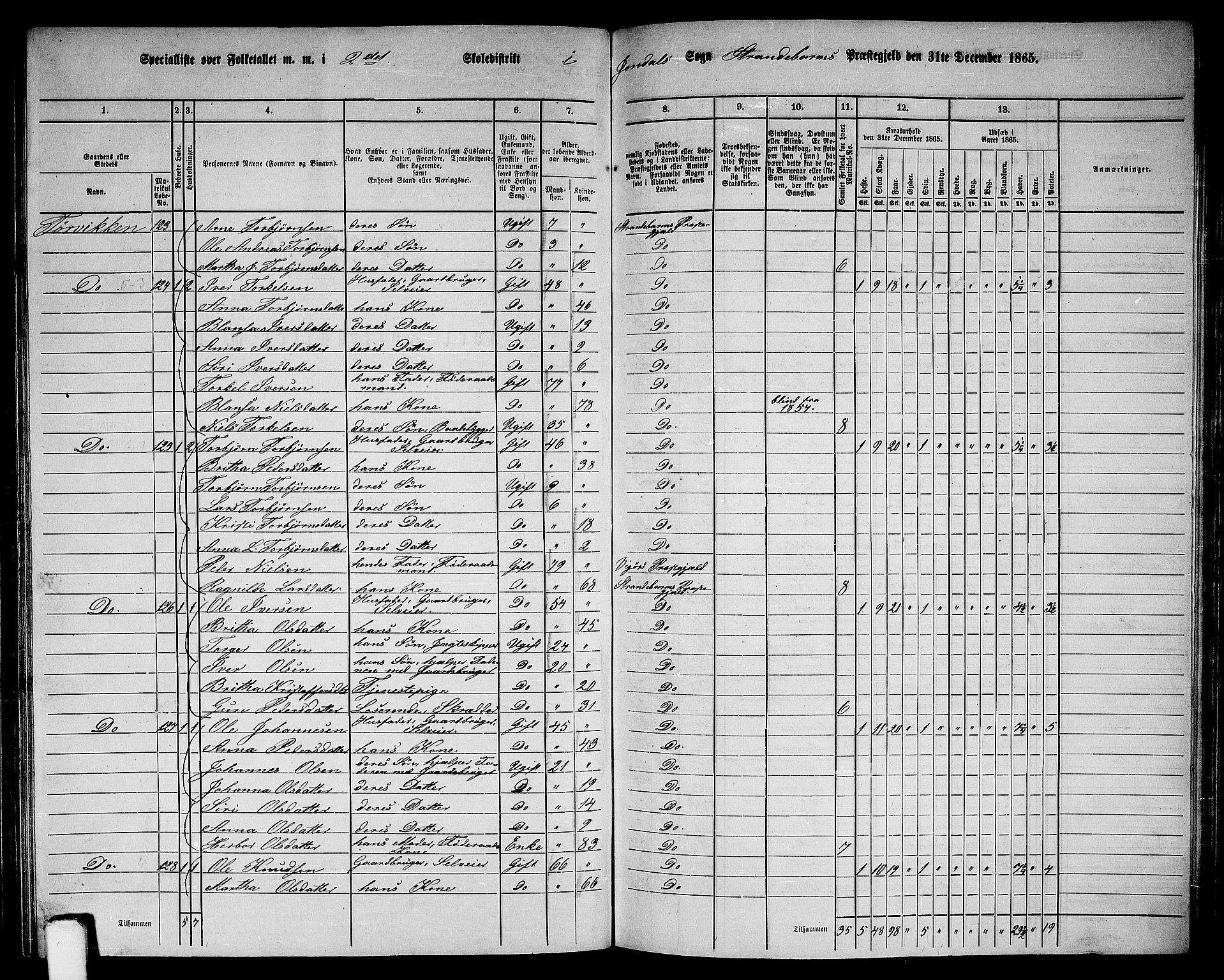 RA, 1865 census for Strandebarm, 1865, p. 118