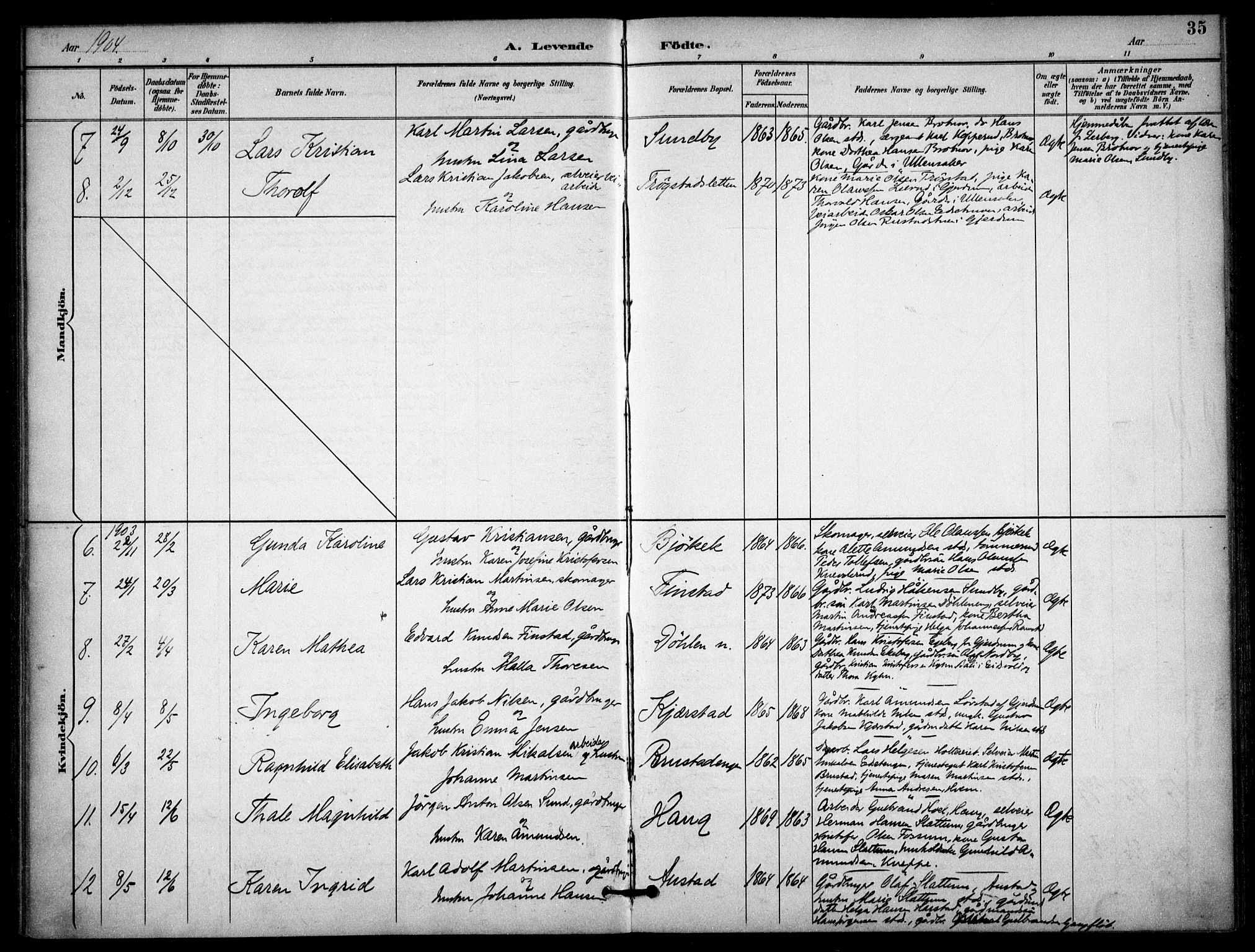 Nannestad prestekontor Kirkebøker, AV/SAO-A-10414a/F/Fb/L0002: Parish register (official) no. II 2, 1891-1909, p. 35