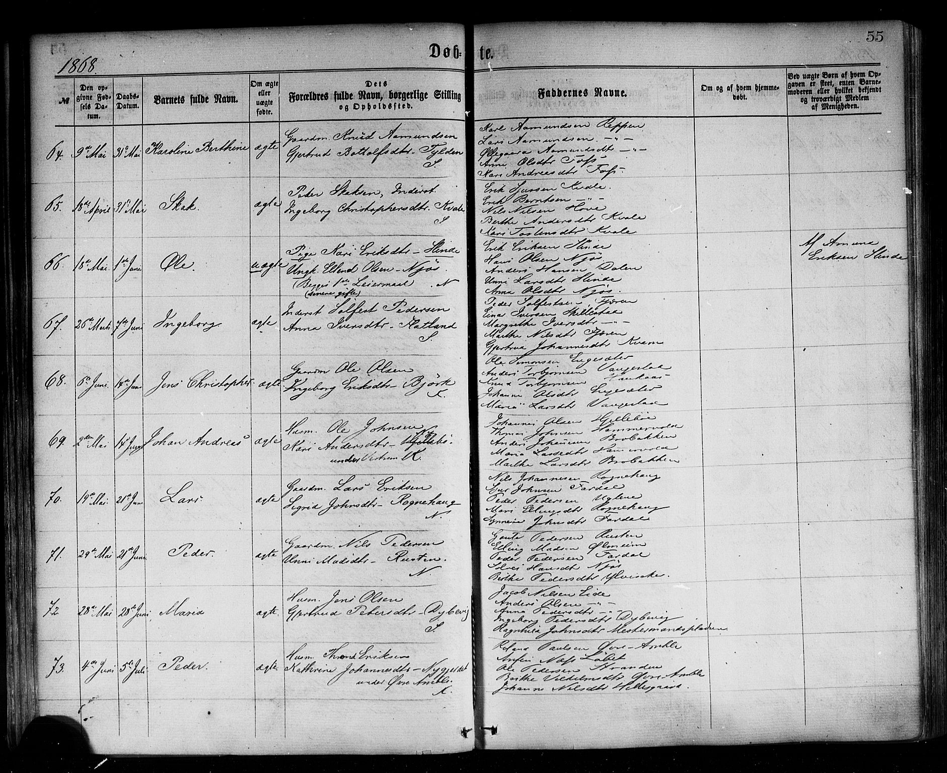 Sogndal sokneprestembete, SAB/A-81301/H/Haa/Haaa/L0014: Parish register (official) no. A 14, 1864-1877, p. 55