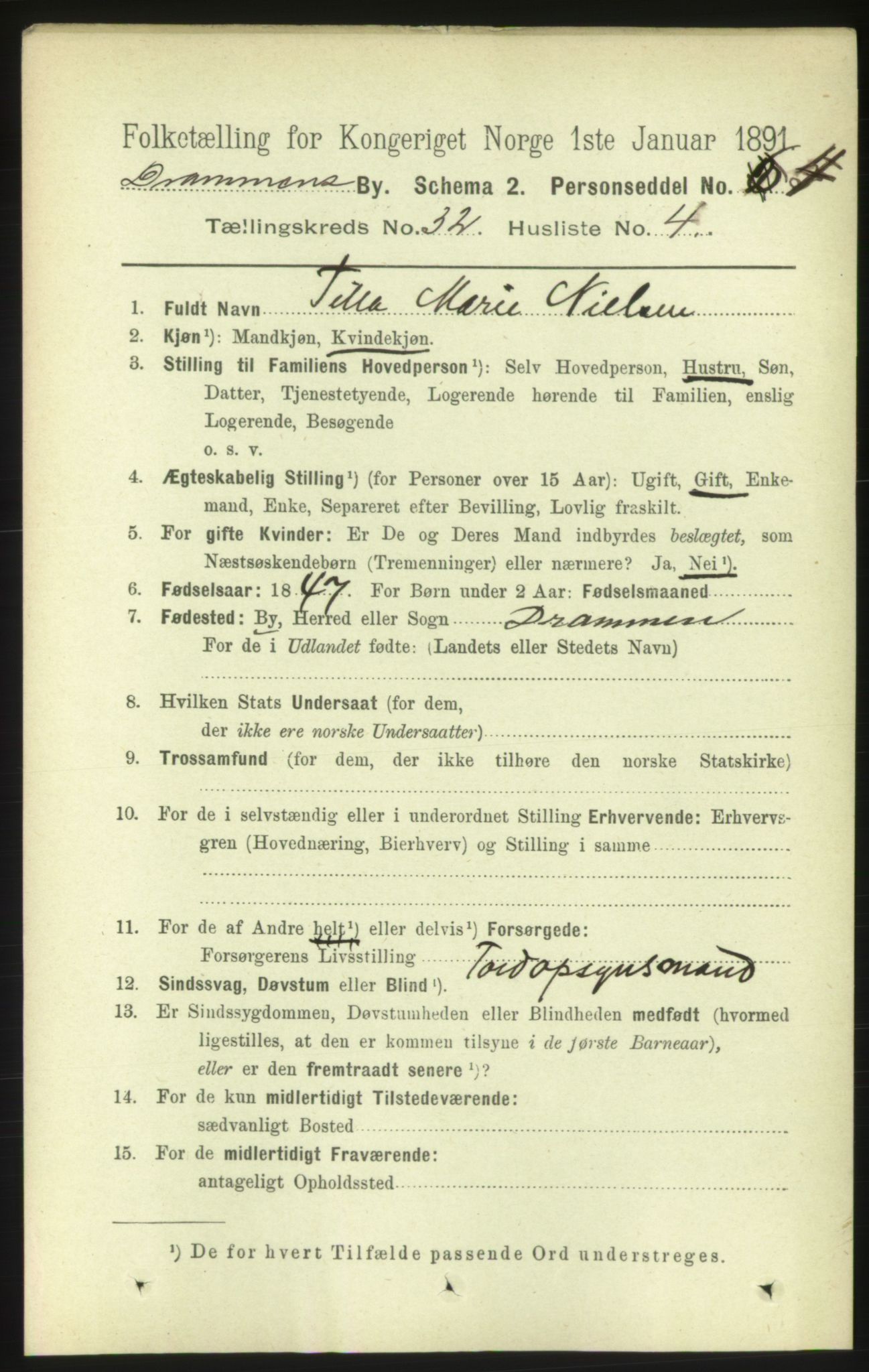 RA, 1891 census for 0602 Drammen, 1891, p. 19301