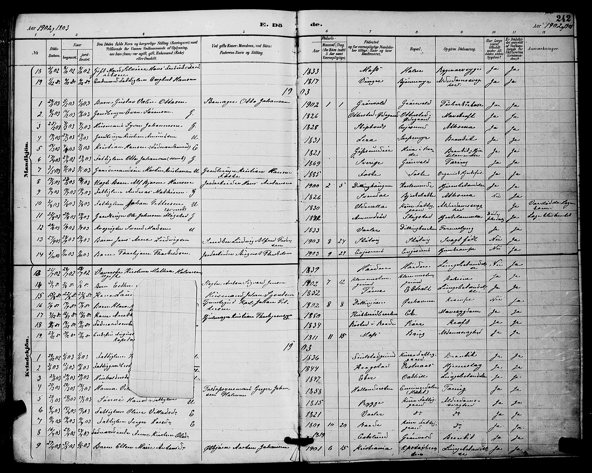 Rygge prestekontor Kirkebøker, SAO/A-10084b/G/Ga/L0002: Parish register (copy) no. 2, 1887-1905, p. 242