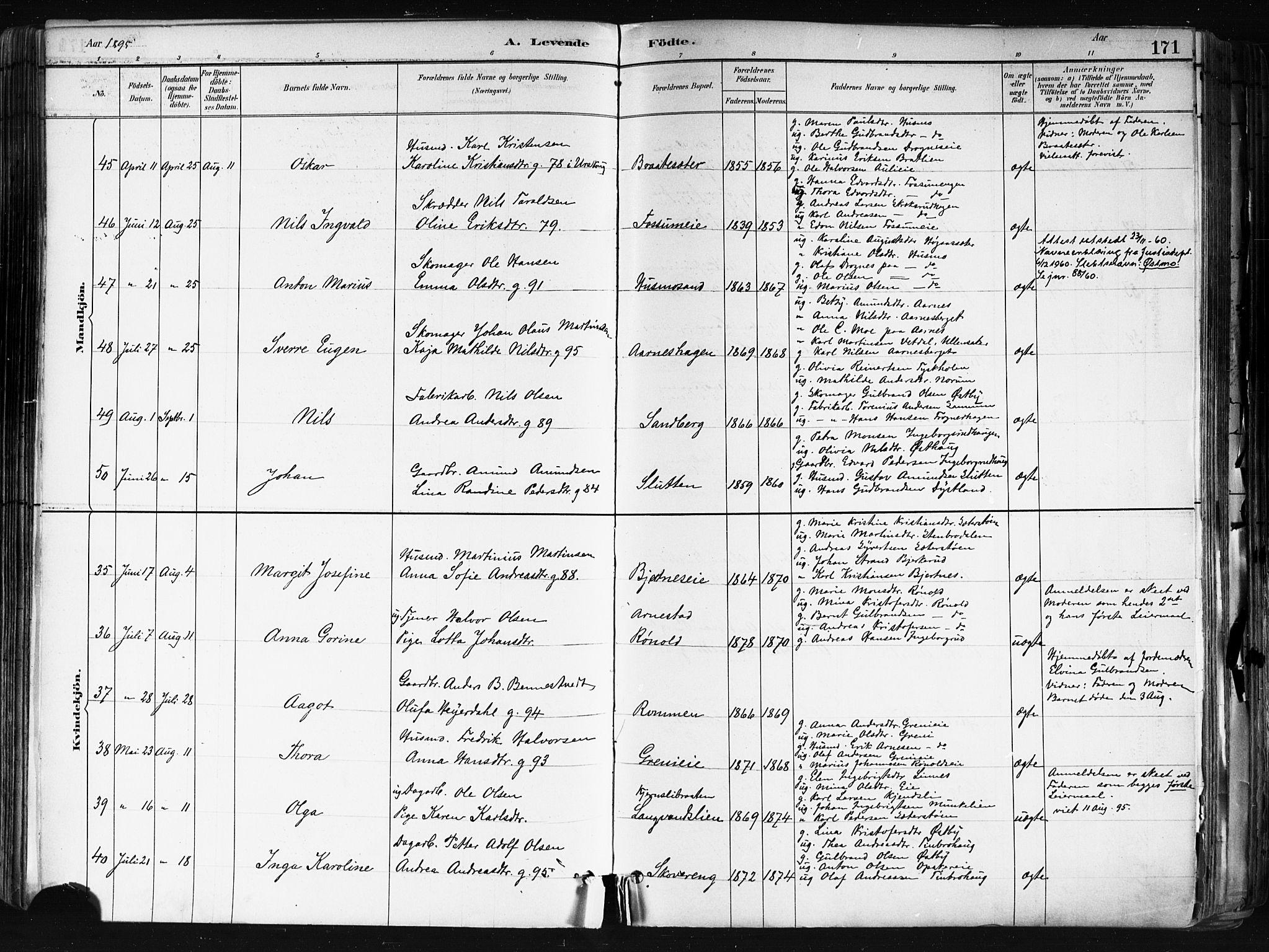 Nes prestekontor Kirkebøker, AV/SAO-A-10410/F/Fa/L0010: Parish register (official) no. I 10, 1883-1898, p. 171