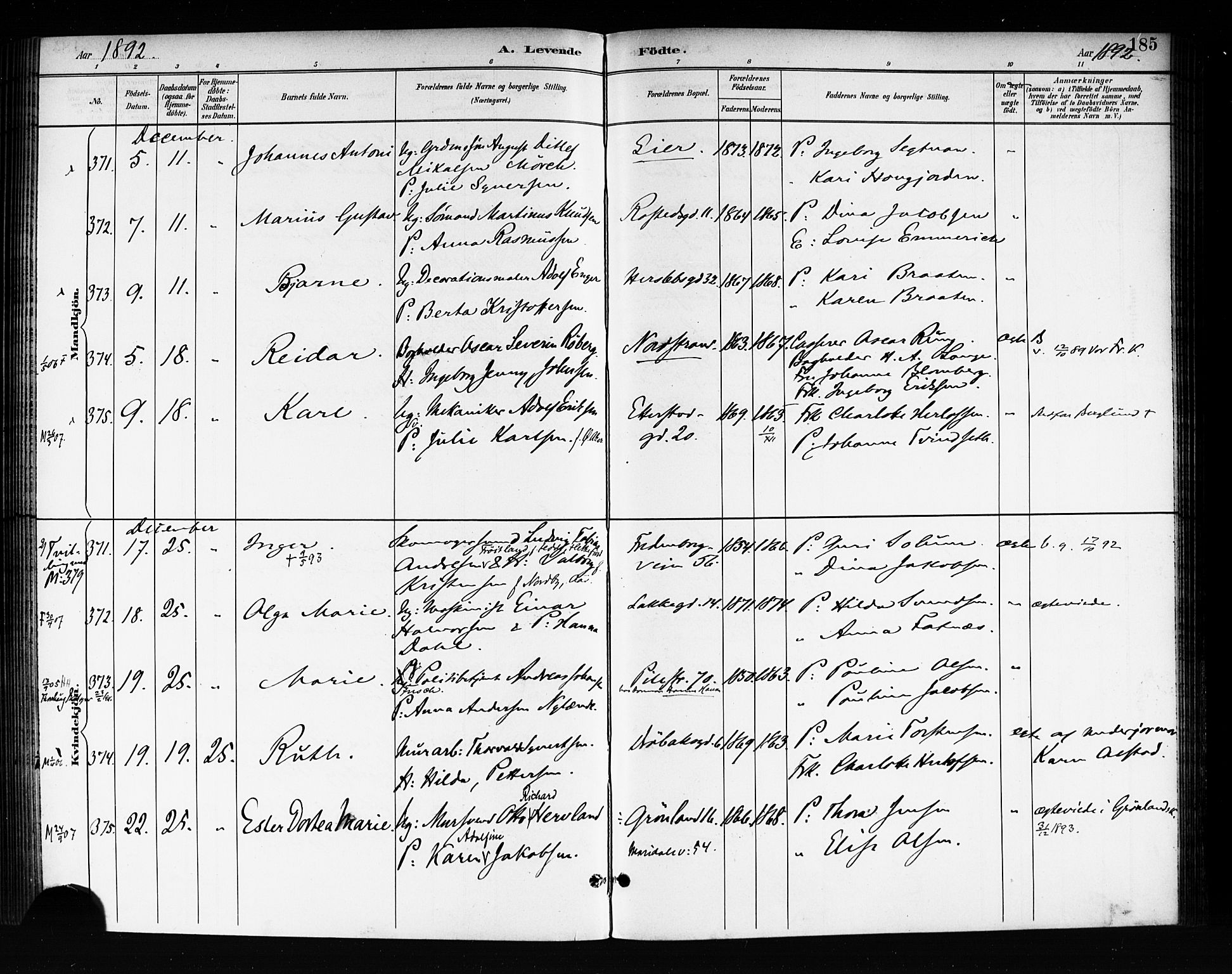 Rikshospitalet prestekontor Kirkebøker, AV/SAO-A-10309b/F/L0008: Parish register (official) no. 8, 1890-1893, p. 185