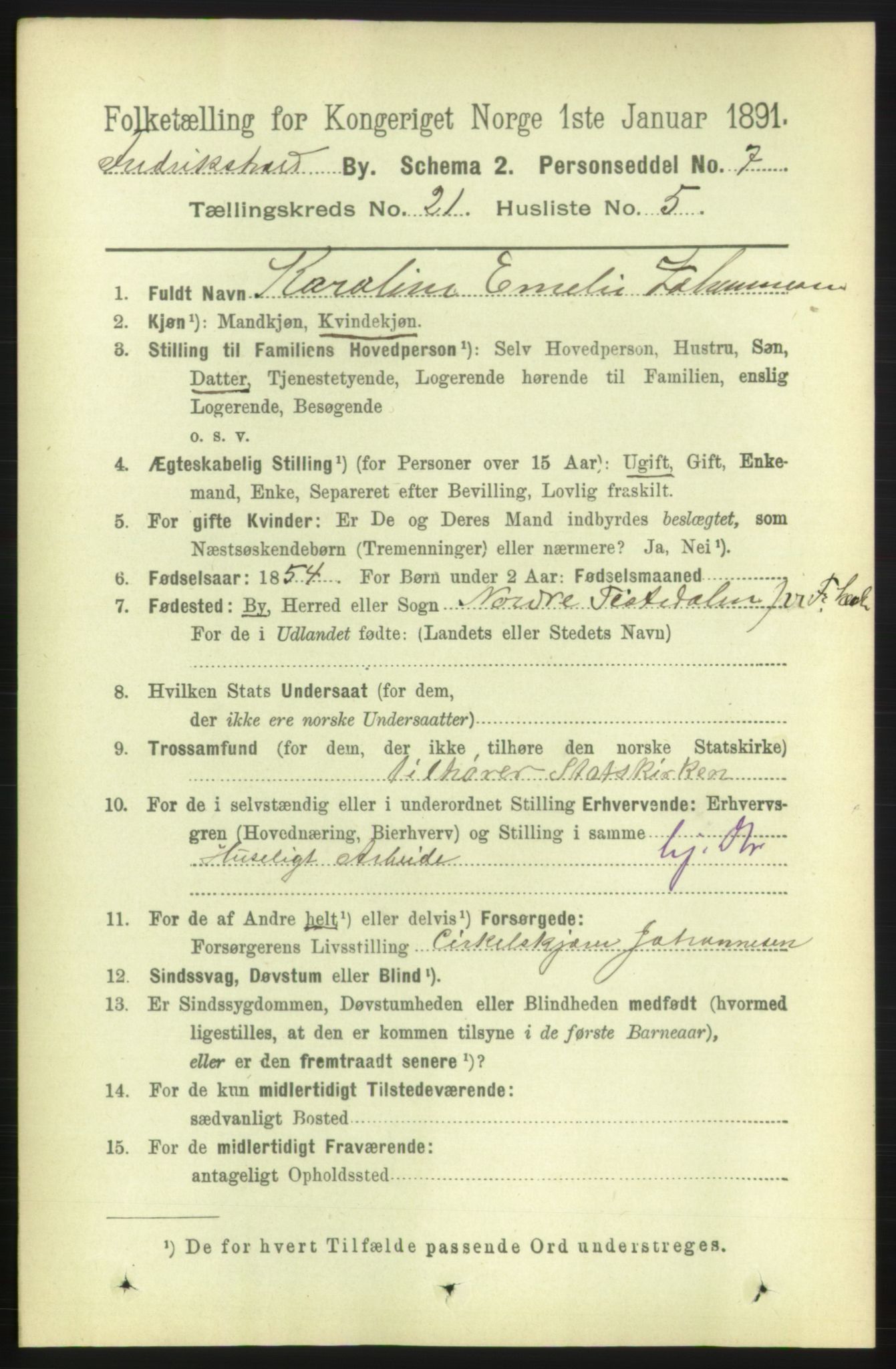 RA, 1891 census for 0101 Fredrikshald, 1891, p. 13154