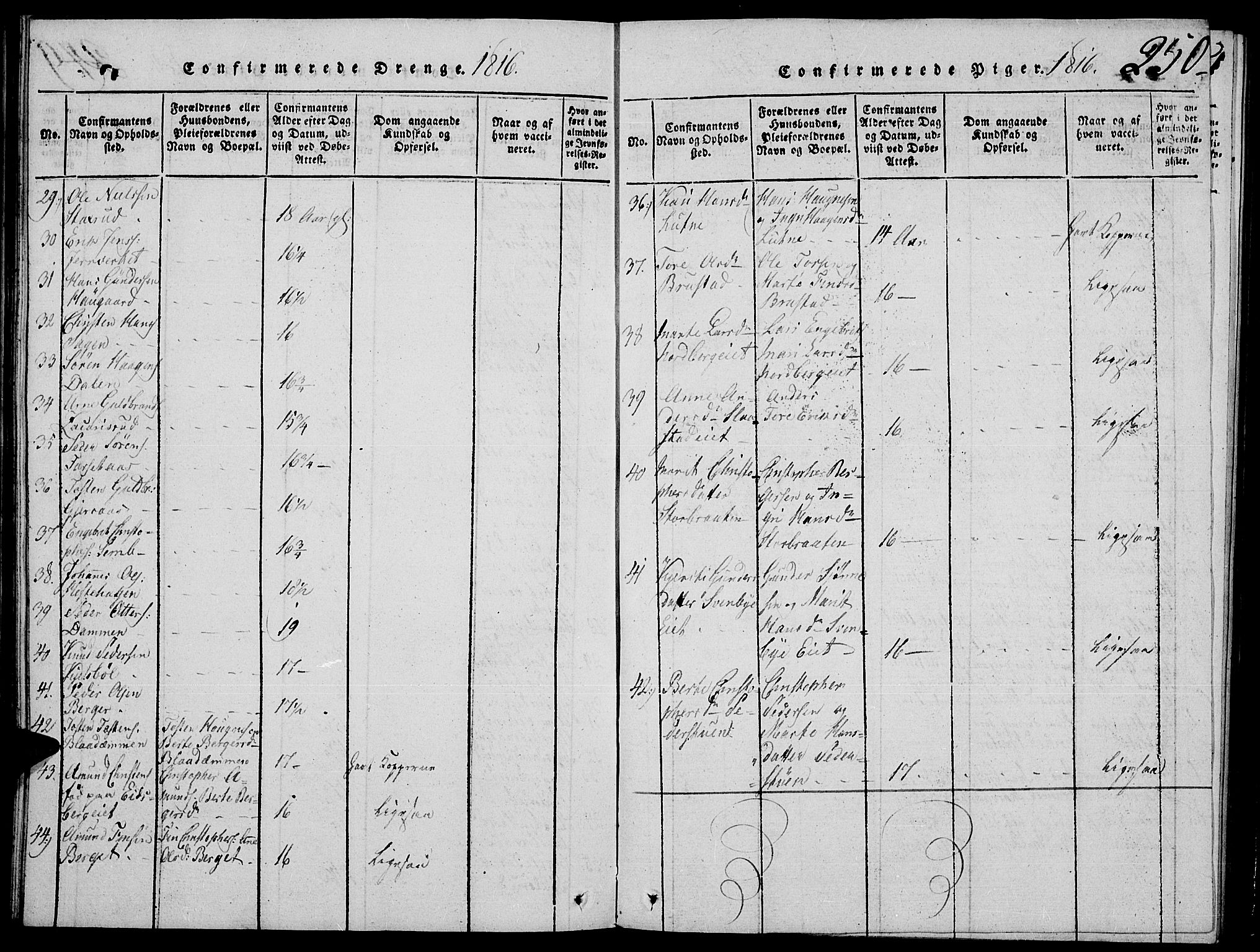 Strøm-Odalen prestekontor, SAH/PREST-028/H/Ha/Hab/L0001: Parish register (copy) no. 1, 1813-1825, p. 250