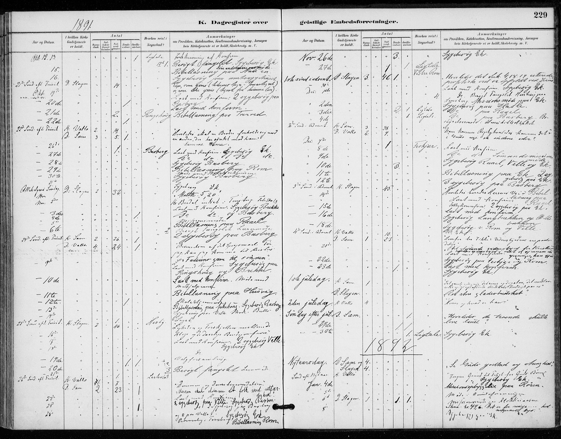 Sem kirkebøker, AV/SAKO-A-5/F/Fa/L0011: Parish register (official) no. I 11, 1888-1904, p. 229