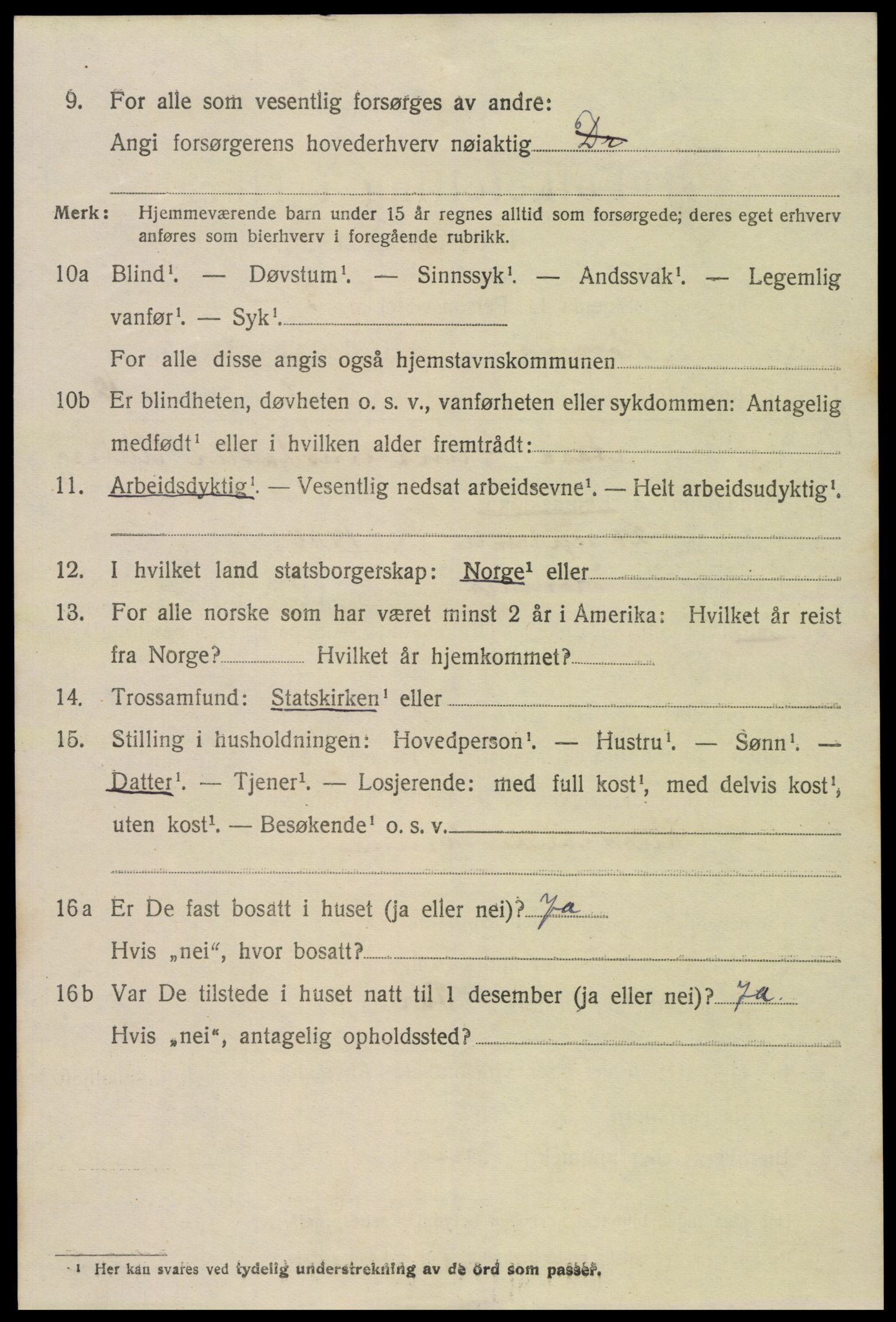 SAK, 1920 census for Hornnes, 1920, p. 1562