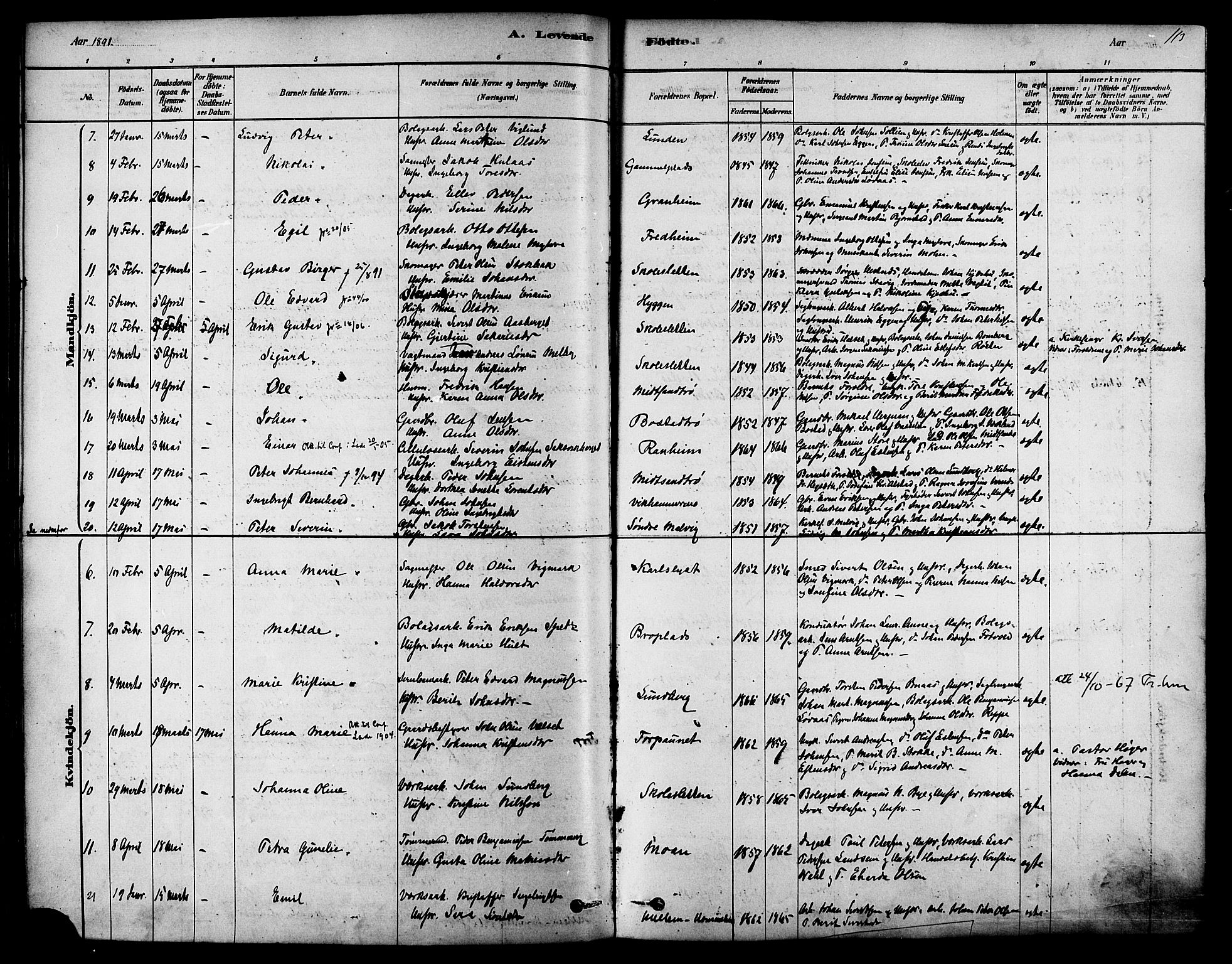 Ministerialprotokoller, klokkerbøker og fødselsregistre - Sør-Trøndelag, SAT/A-1456/616/L0410: Parish register (official) no. 616A07, 1878-1893, p. 113