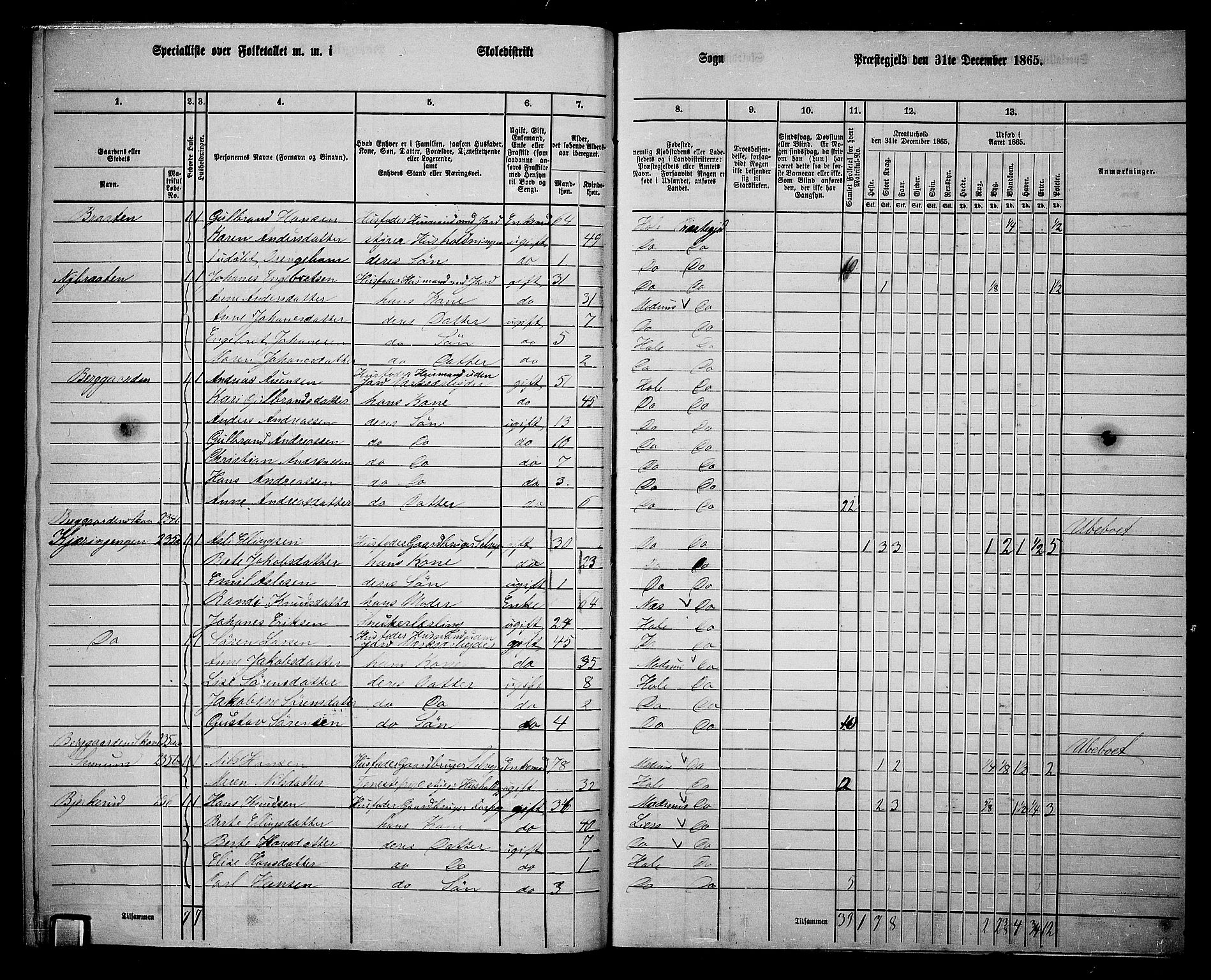 RA, 1865 census for Hole, 1865, p. 161