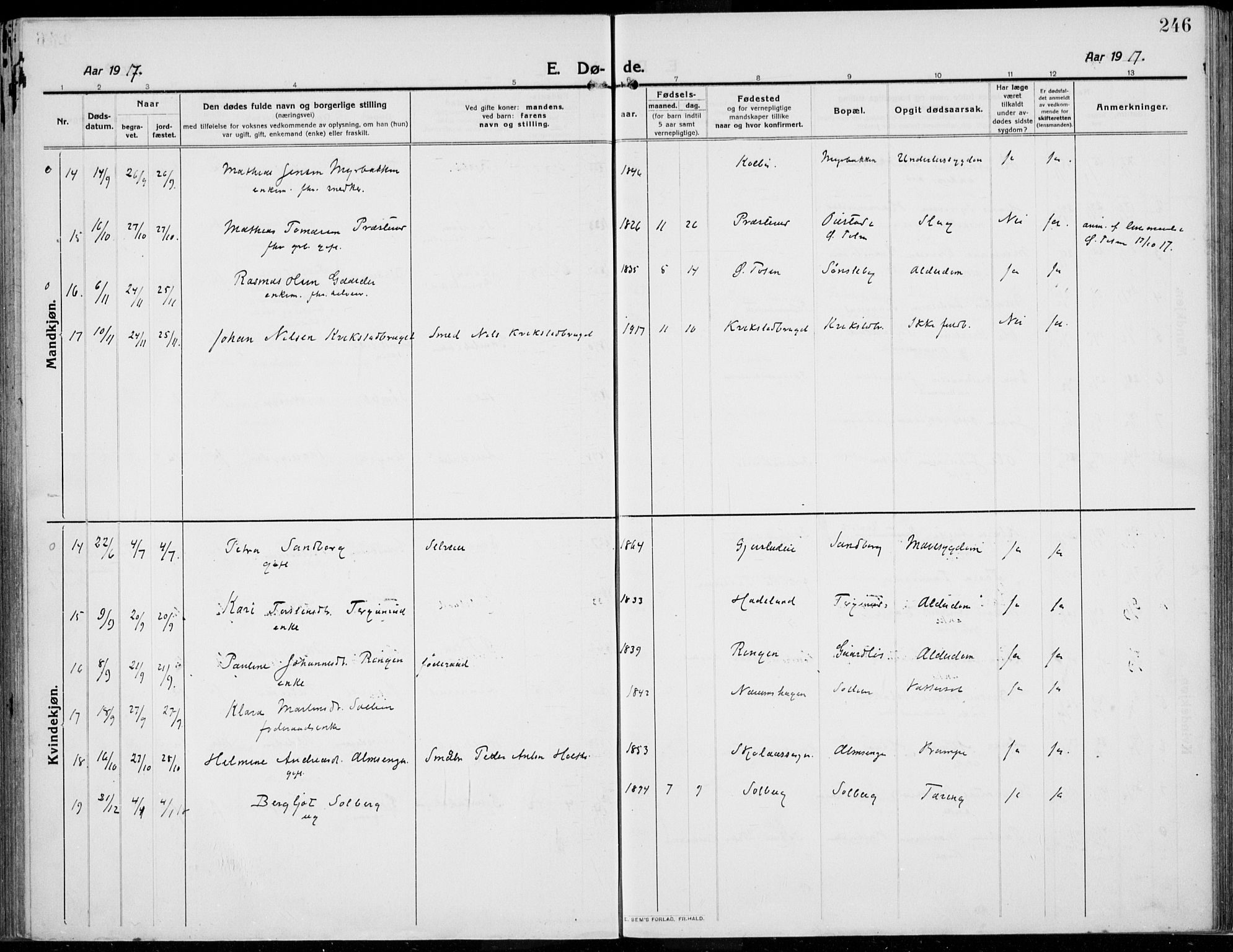 Kolbu prestekontor, AV/SAH-PREST-110/H/Ha/Haa/L0002: Parish register (official) no. 2, 1912-1926, p. 246
