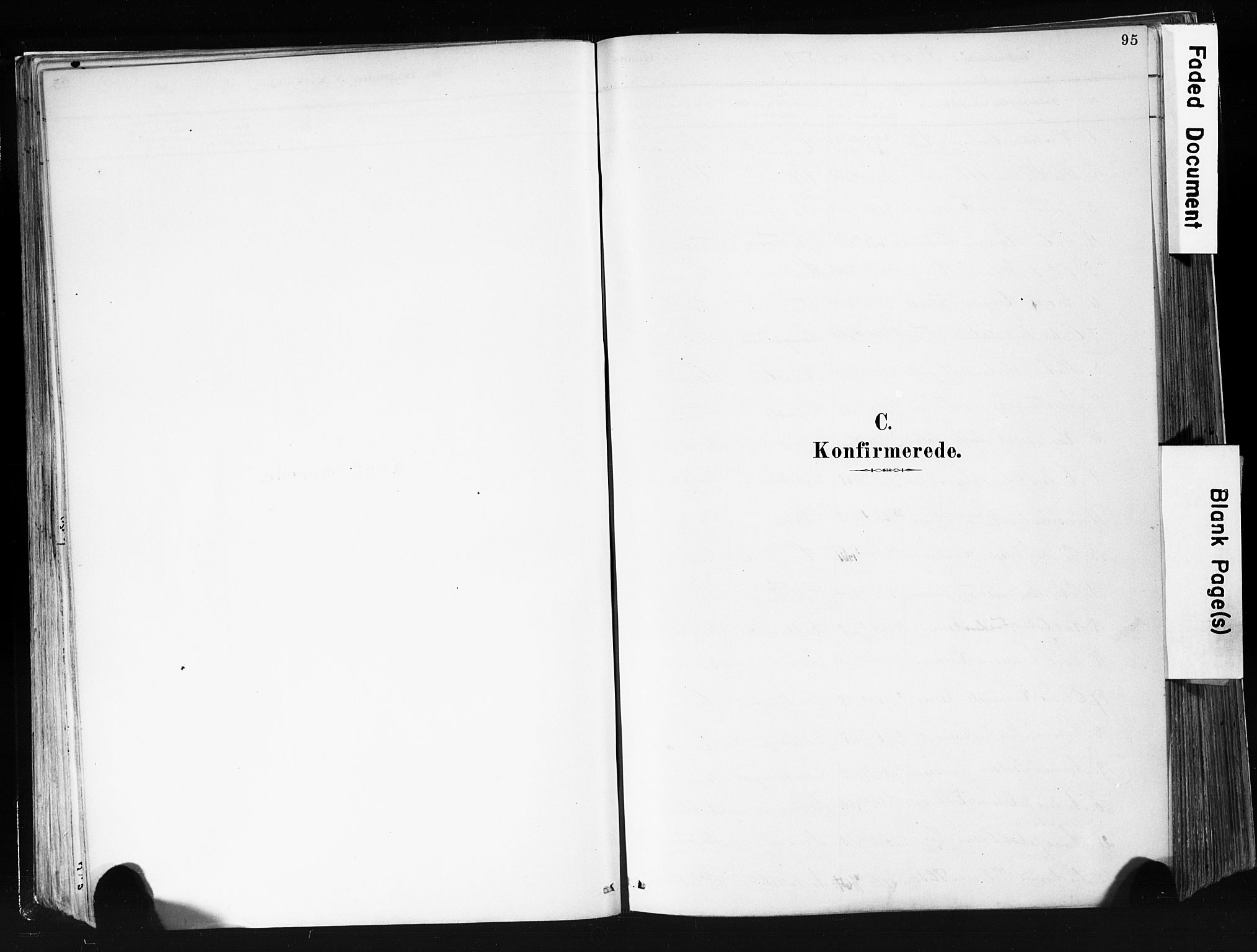 Eidanger kirkebøker, SAKO/A-261/F/Fa/L0012: Parish register (official) no. 12, 1879-1900, p. 95