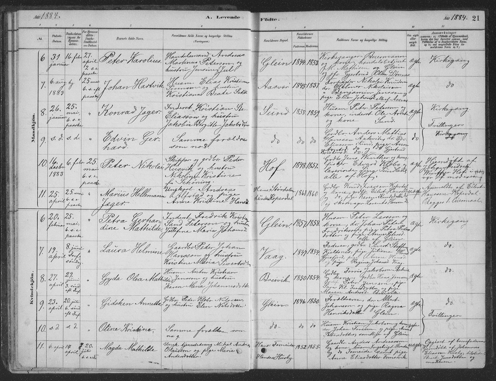Ministerialprotokoller, klokkerbøker og fødselsregistre - Nordland, SAT/A-1459/835/L0532: Parish register (copy) no. 835C04, 1880-1905, p. 21