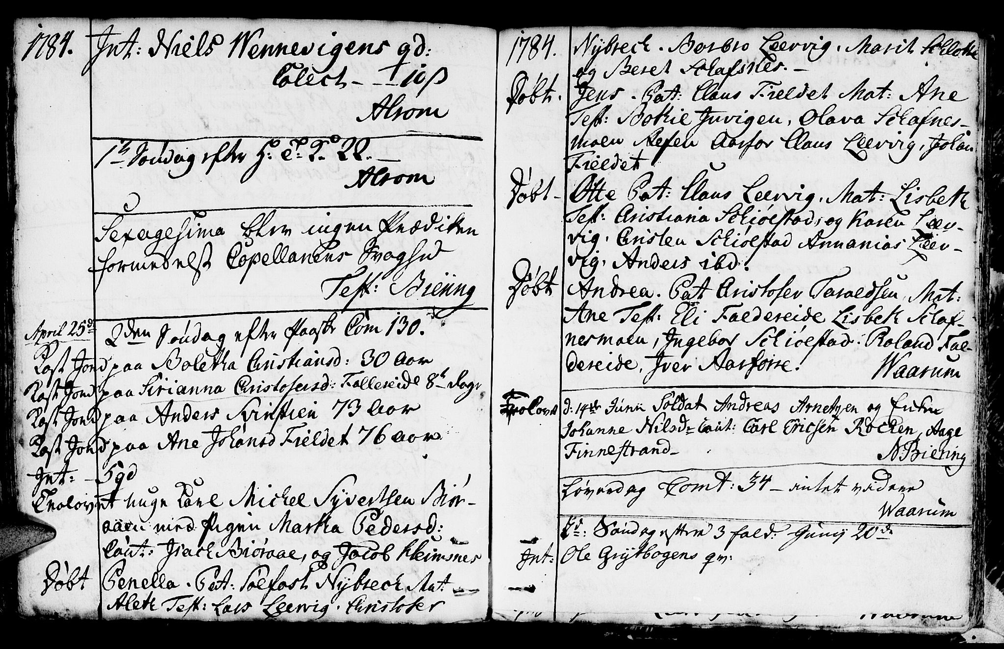 Ministerialprotokoller, klokkerbøker og fødselsregistre - Nord-Trøndelag, SAT/A-1458/783/L0659: Parish register (official) no. 783A01, 1689-1814