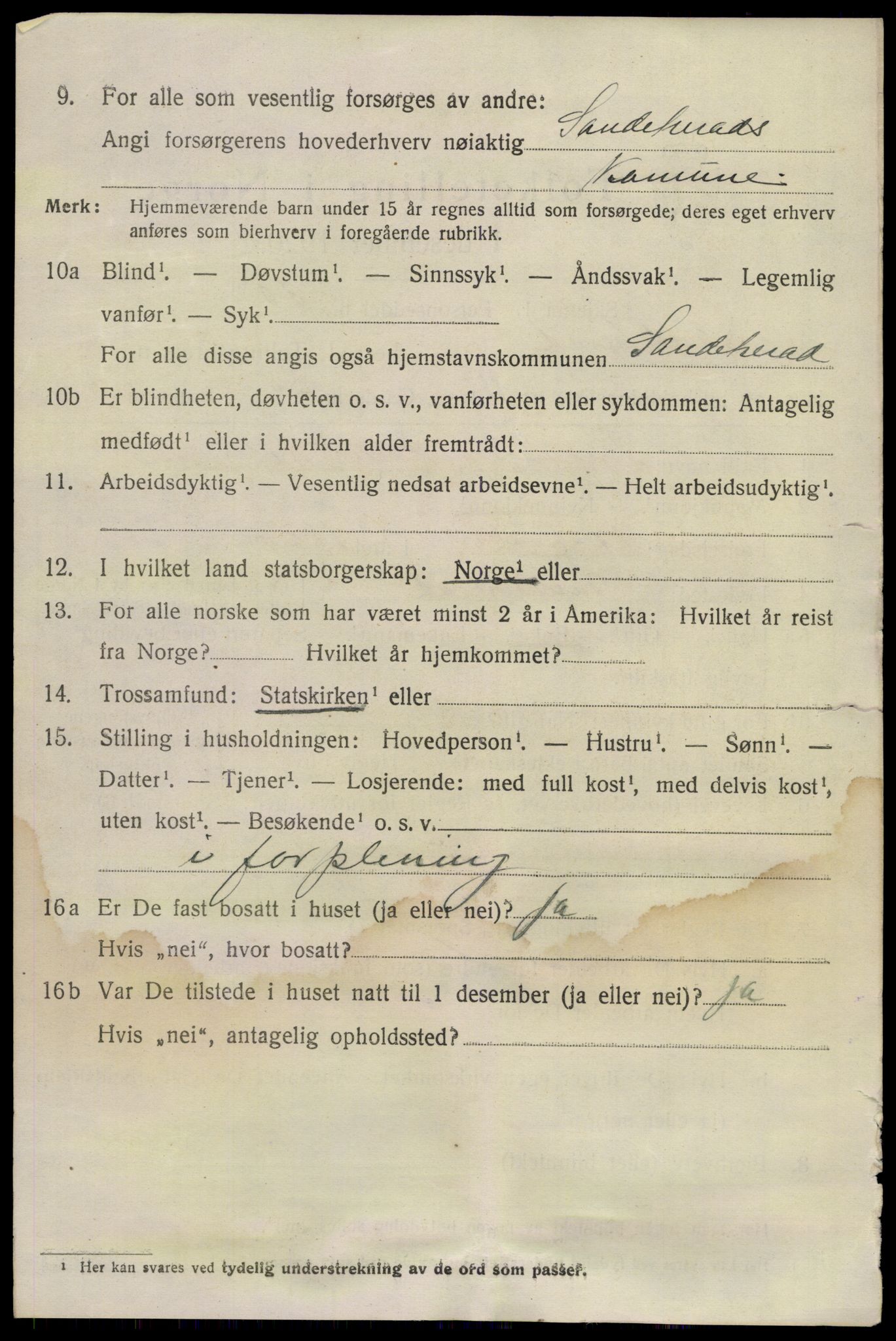 SAKO, 1920 census for Sandeherred, 1920, p. 5205