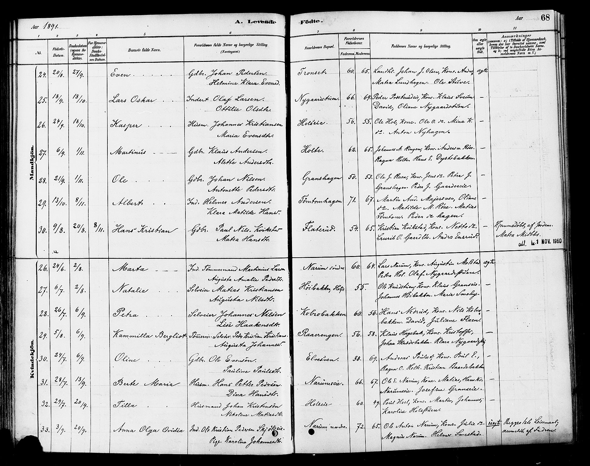 Vestre Toten prestekontor, SAH/PREST-108/H/Ha/Haa/L0010: Parish register (official) no. 10, 1878-1894, p. 68