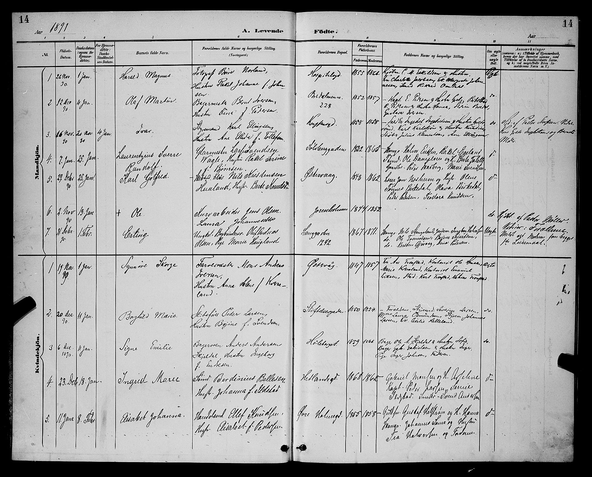 St. Petri sokneprestkontor, AV/SAST-A-101813/001/30/30BB/L0006: Parish register (copy) no. B 6, 1890-1897, p. 14