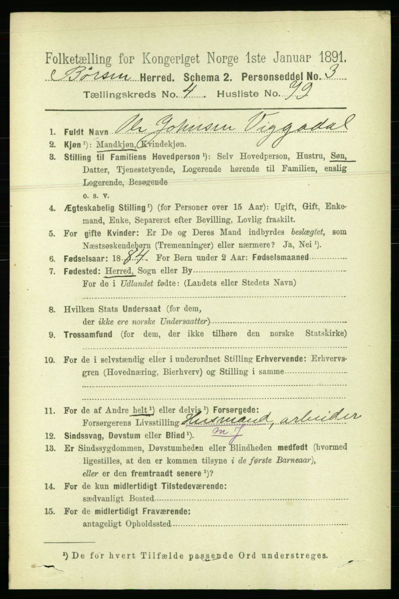 RA, 1891 census for 1658 Børsa, 1891, p. 1908