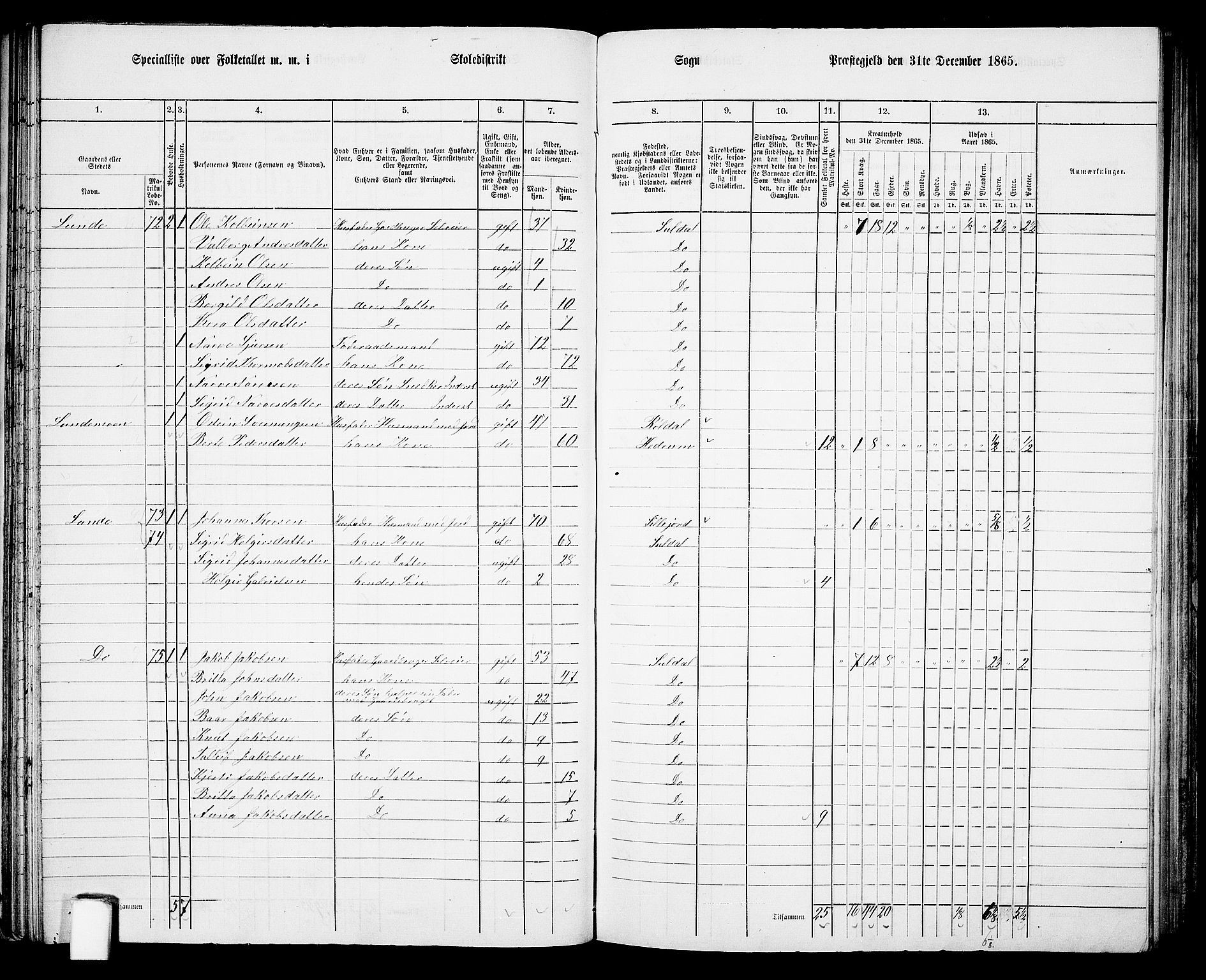 RA, 1865 census for Suldal, 1865, p. 52