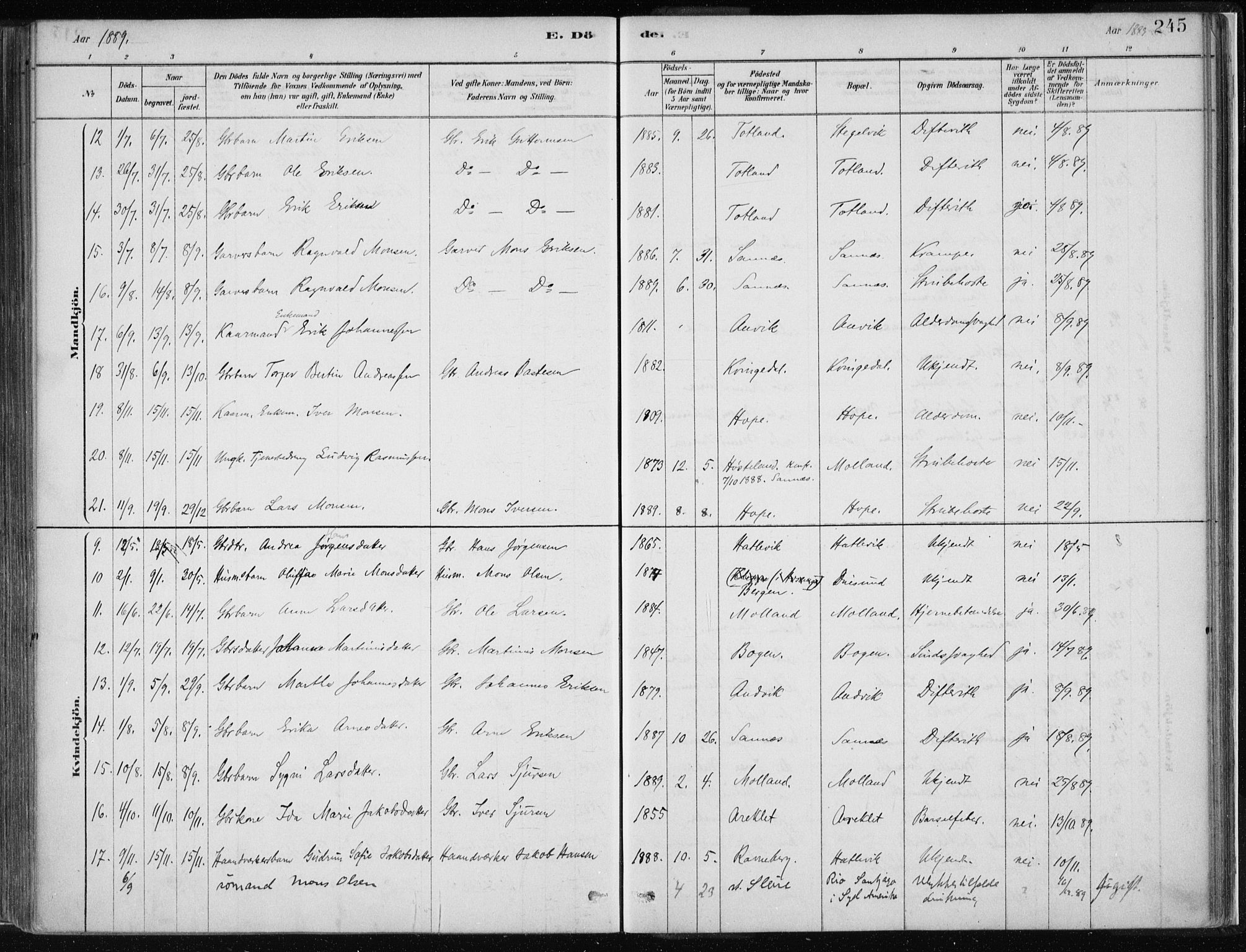 Masfjorden Sokneprestembete, SAB/A-77001: Parish register (official) no. B  1, 1876-1899, p. 245
