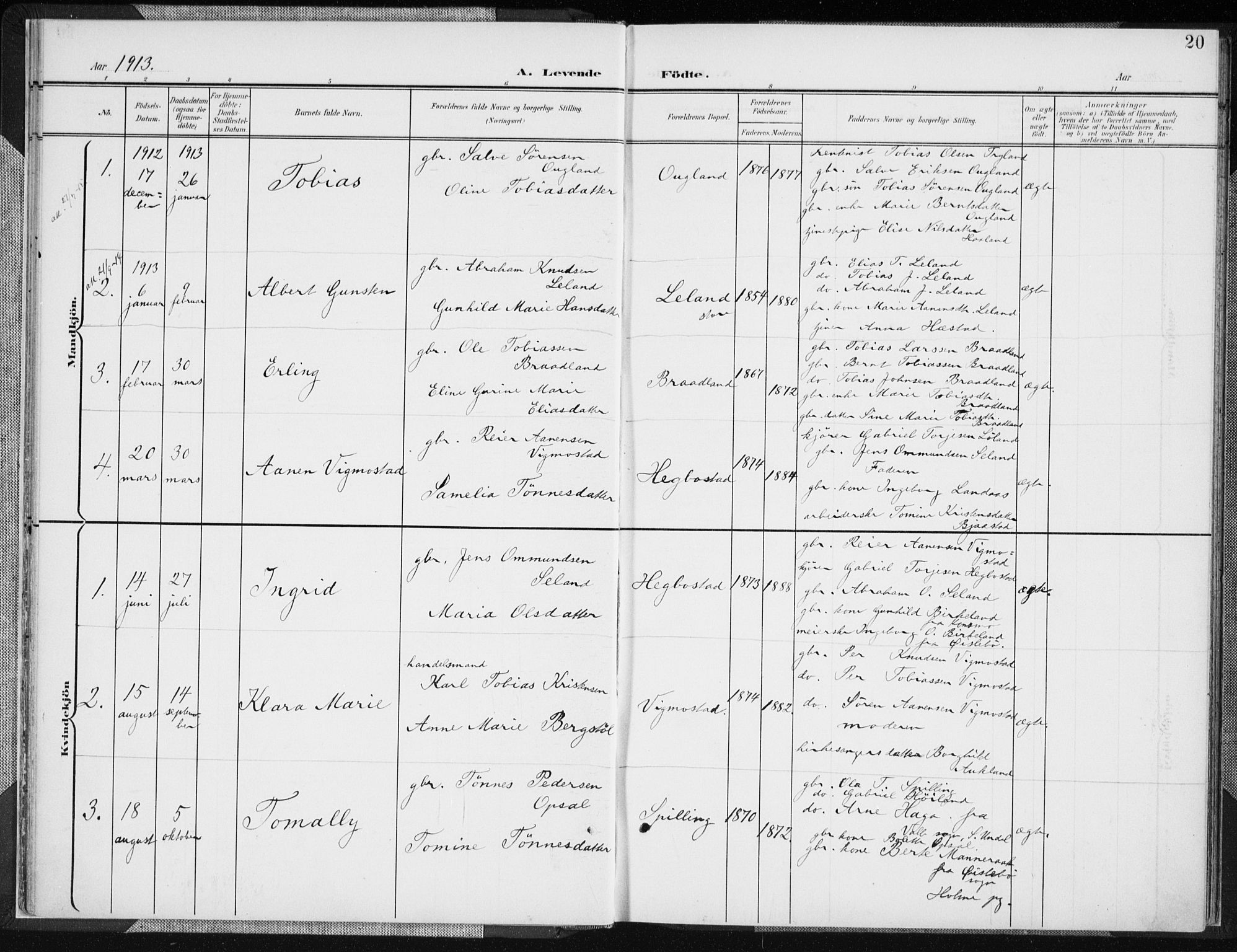 Nord-Audnedal sokneprestkontor, AV/SAK-1111-0032/F/Fa/Fab/L0004: Parish register (official) no. A 4, 1901-1917, p. 20