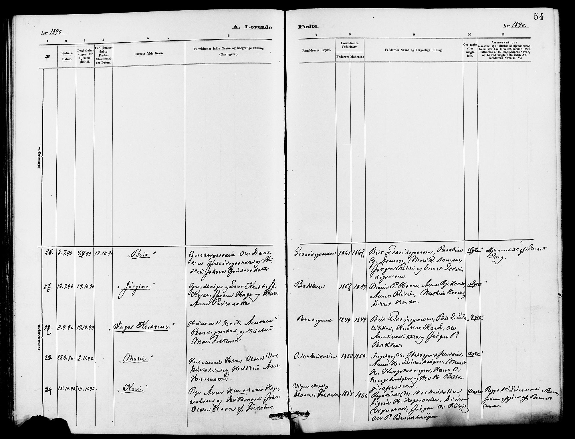 Dovre prestekontor, AV/SAH-PREST-066/H/Ha/Hab/L0002: Parish register (copy) no. 2, 1881-1907, p. 54