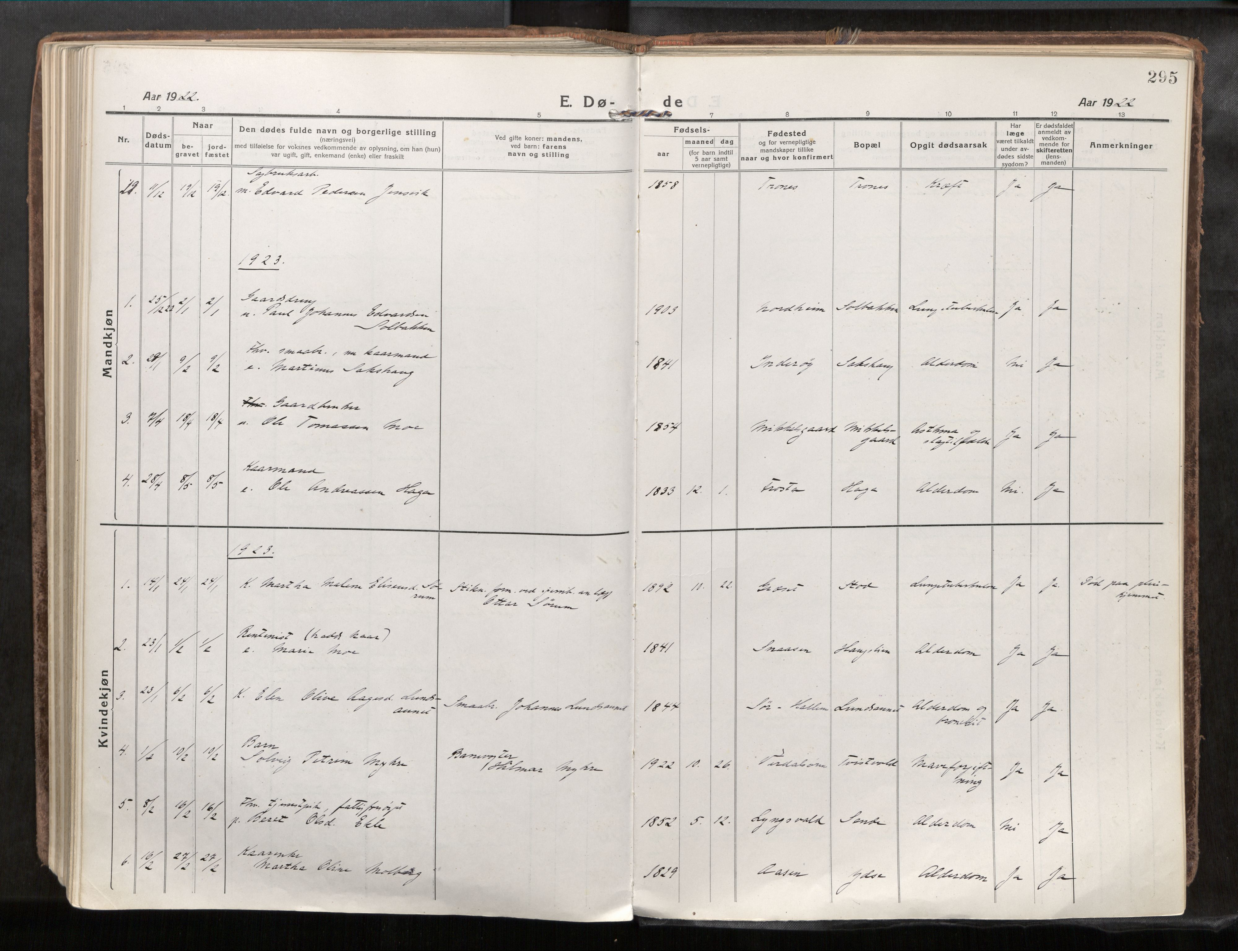 Verdal sokneprestkontor, SAT/A-1156/2/H/Haa/L0001: Parish register (official) no. 1, 1917-1932, p. 295