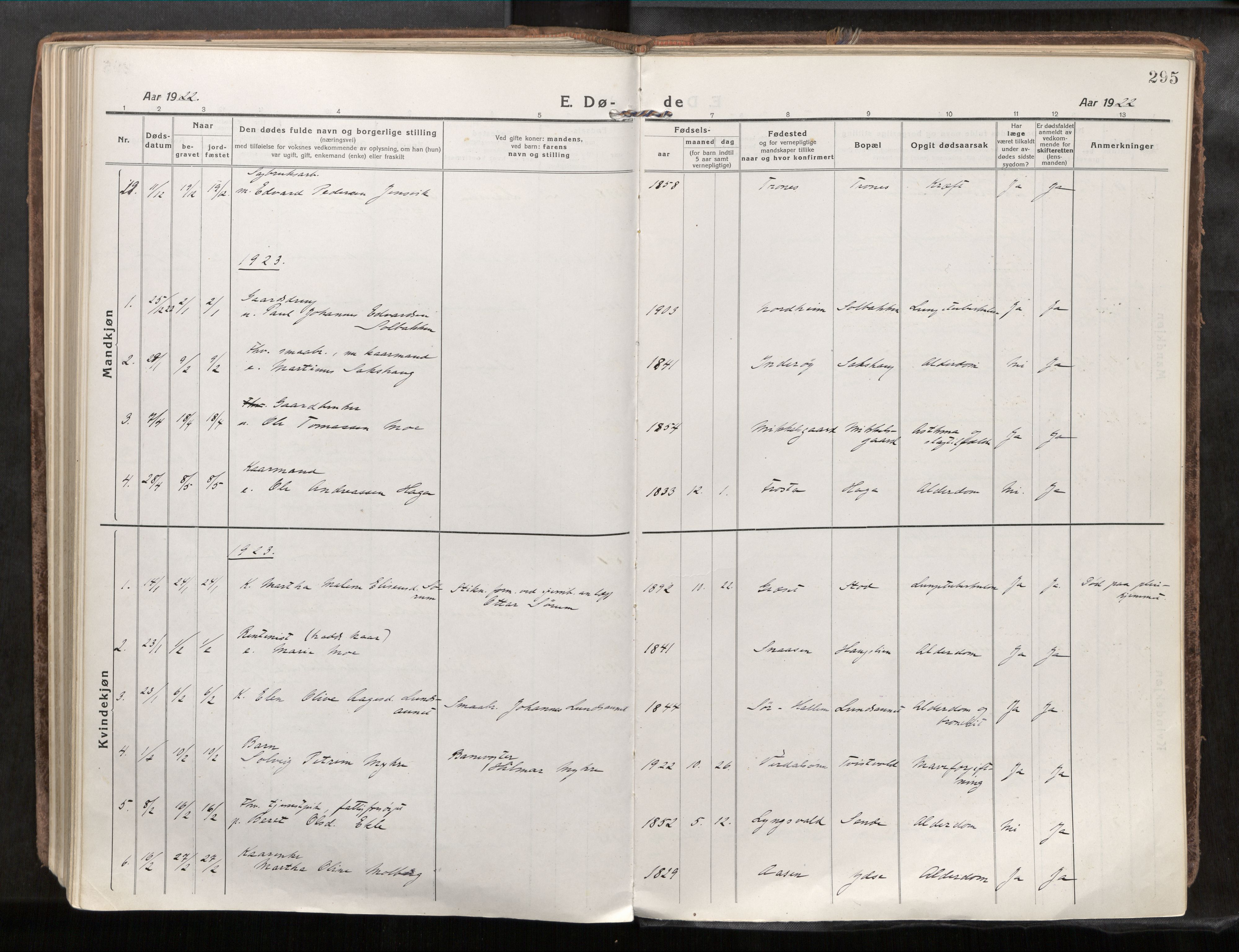Verdal sokneprestkontor, AV/SAT-A-1156/2/H/Haa/L0001: Parish register (official) no. 1, 1917-1932, p. 295