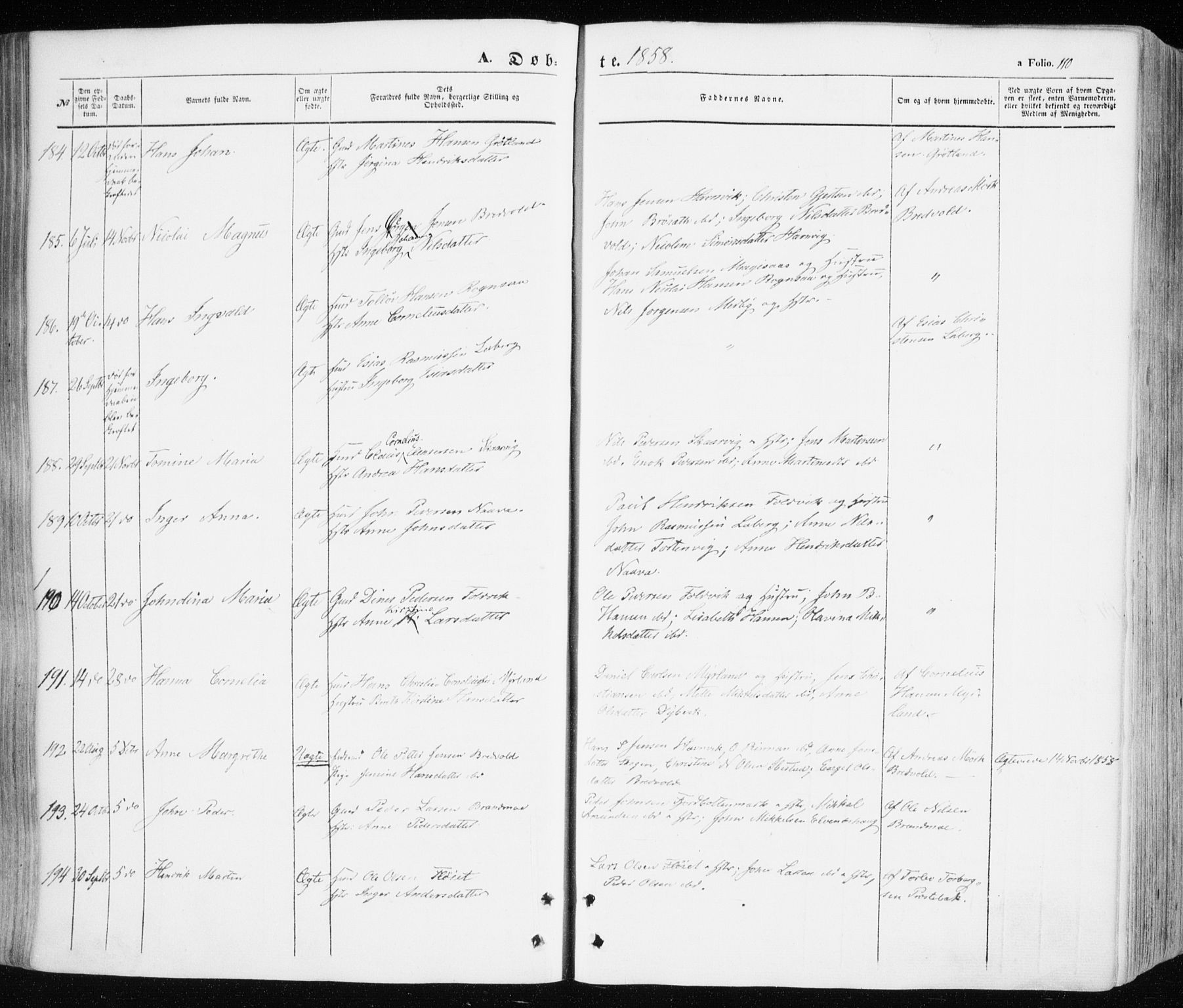 Ibestad sokneprestembete, AV/SATØ-S-0077/H/Ha/Haa/L0008kirke: Parish register (official) no. 8, 1850-1859, p. 110