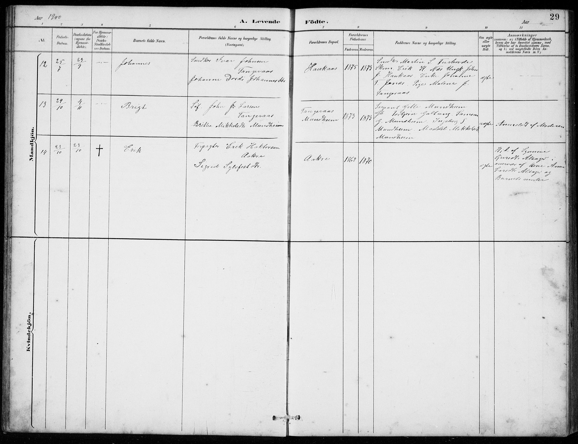 Strandebarm sokneprestembete, AV/SAB-A-78401/H/Hab: Parish register (copy) no. C  1, 1891-1913, p. 29