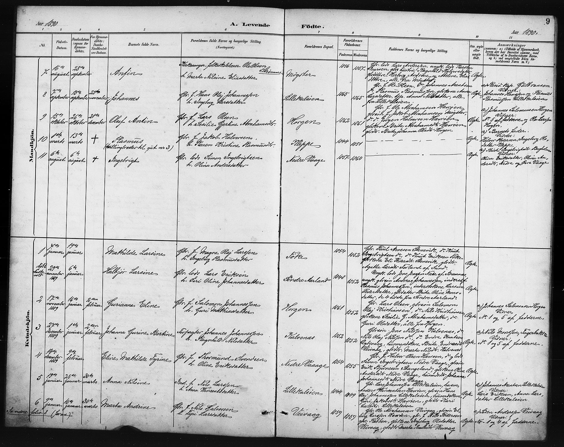 Austevoll Sokneprestembete, SAB/A-74201/H/Hab: Parish register (copy) no. B 4, 1889-1901, p. 9