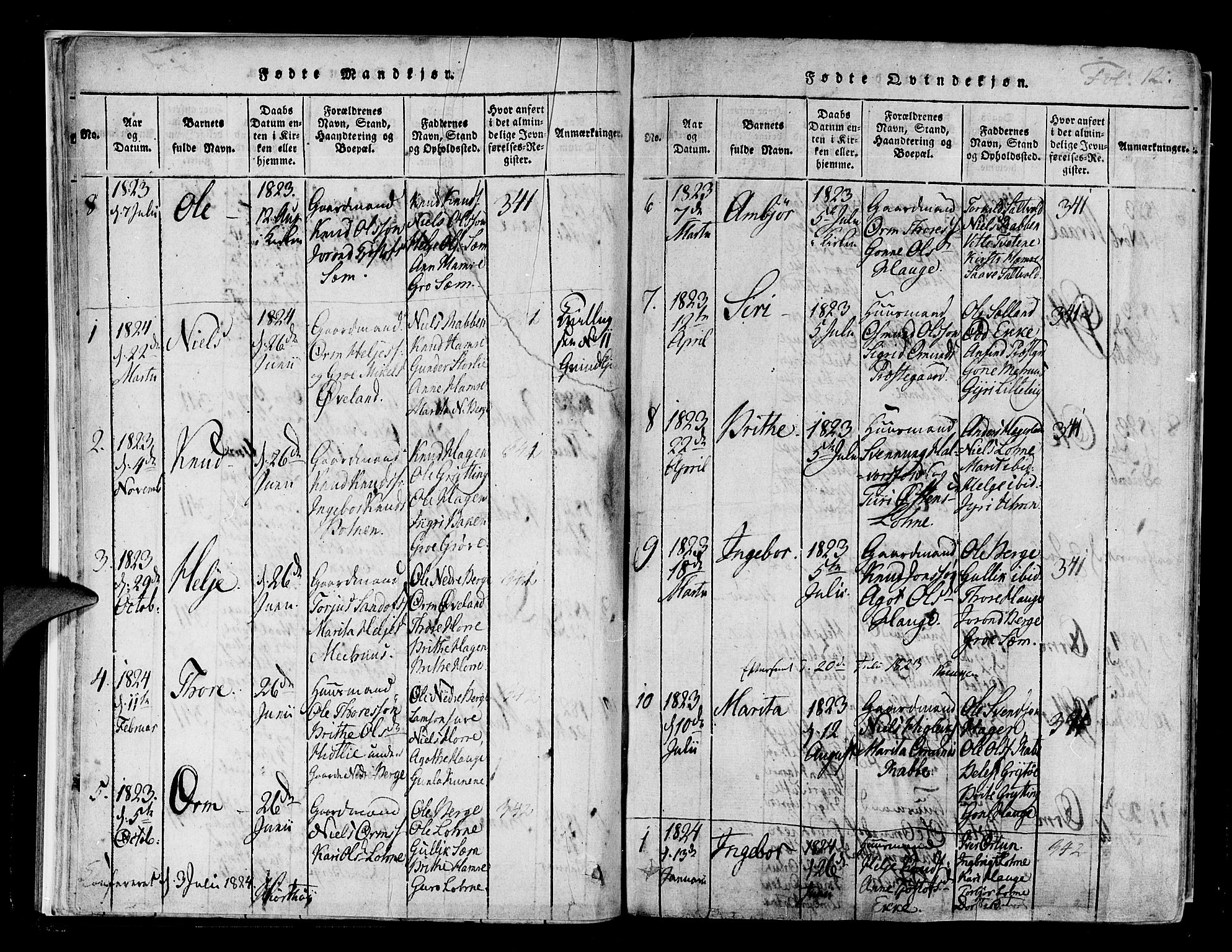 Røldal sokneprestembete, SAB/A-100247: Parish register (official) no. A 2, 1817-1856, p. 12