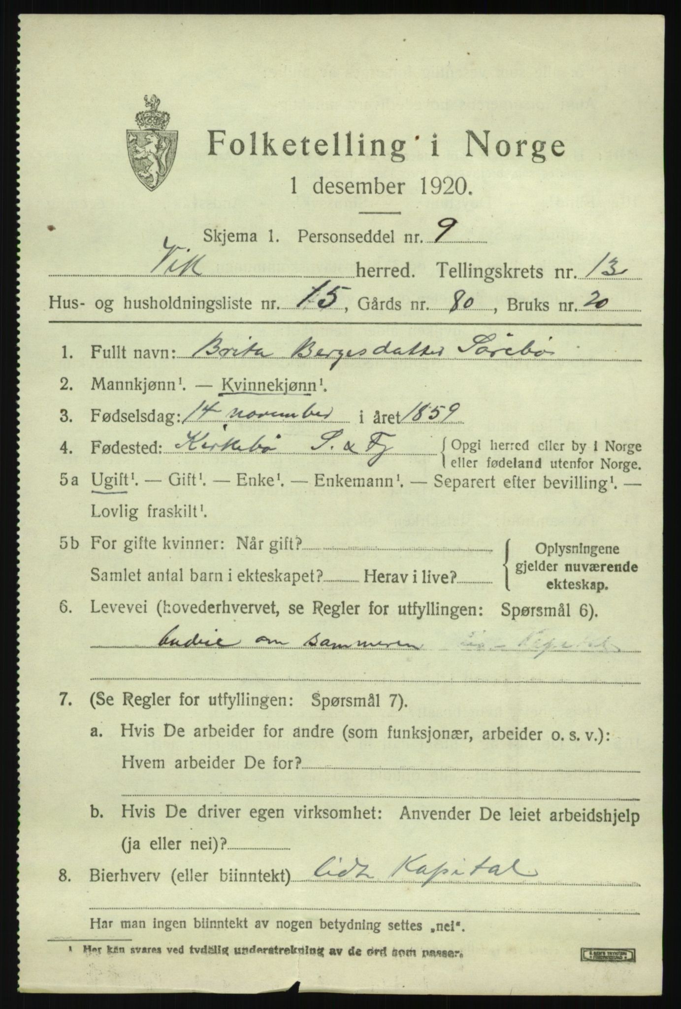 SAB, 1920 census for Vik, 1920, p. 7315