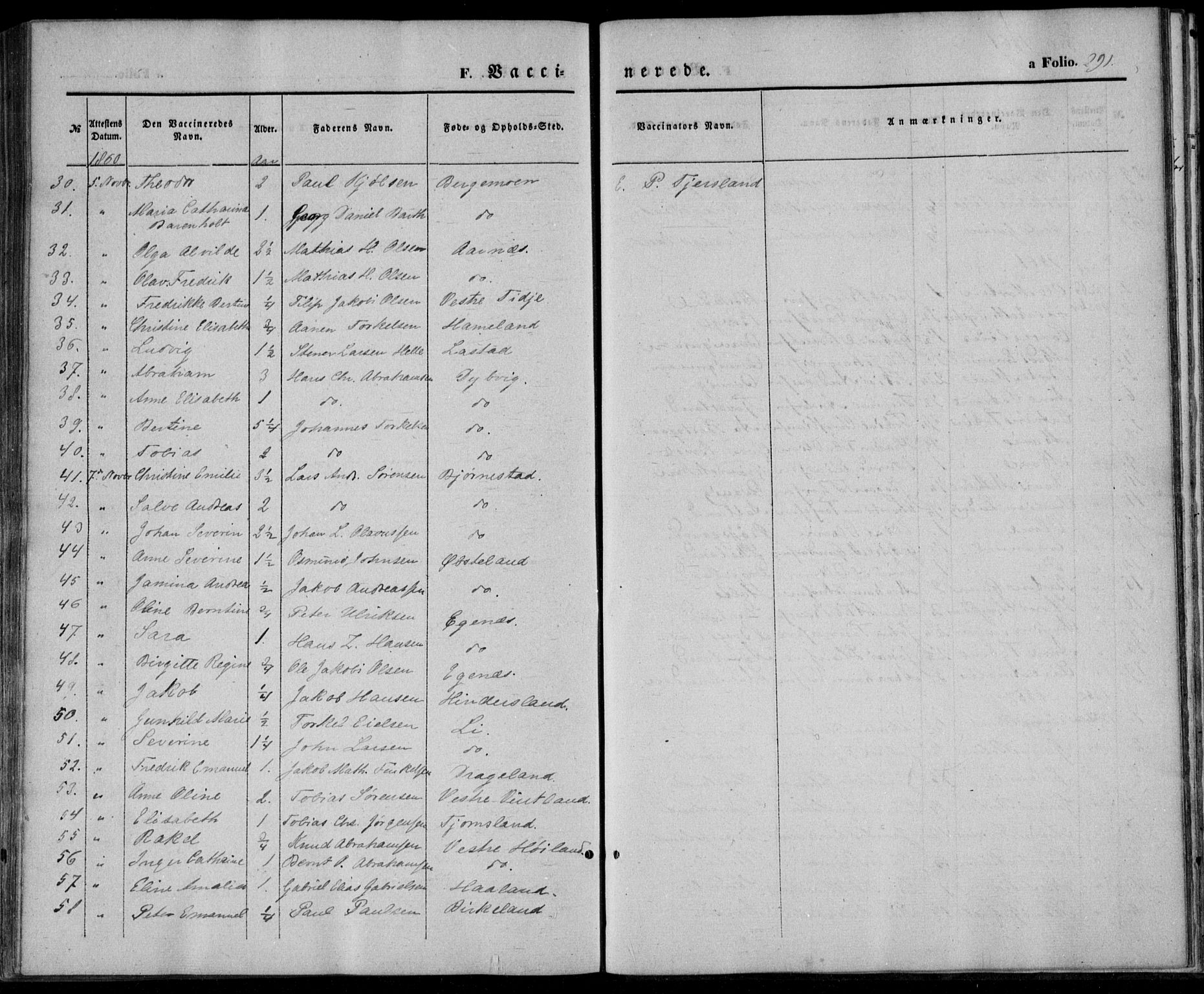 Lyngdal sokneprestkontor, AV/SAK-1111-0029/F/Fa/Fac/L0009: Parish register (official) no. A 9, 1852-1864, p. 291