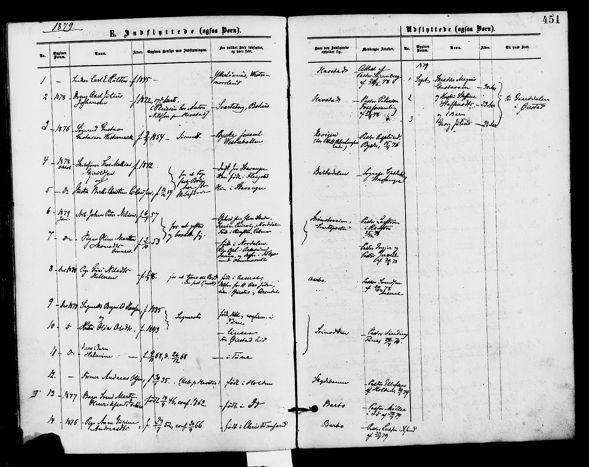 Barbu sokneprestkontor, AV/SAK-1111-0003/F/Fa/L0001: Parish register (official) no. A 1 /1, 1878-1883, p. 451