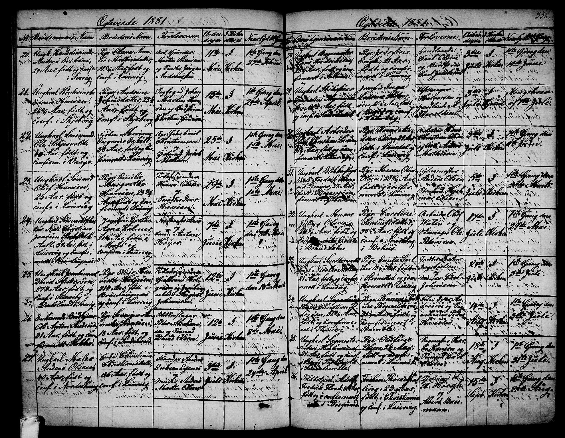 Larvik kirkebøker, AV/SAKO-A-352/G/Ga/L0004: Parish register (copy) no. I 4, 1871-1888, p. 356