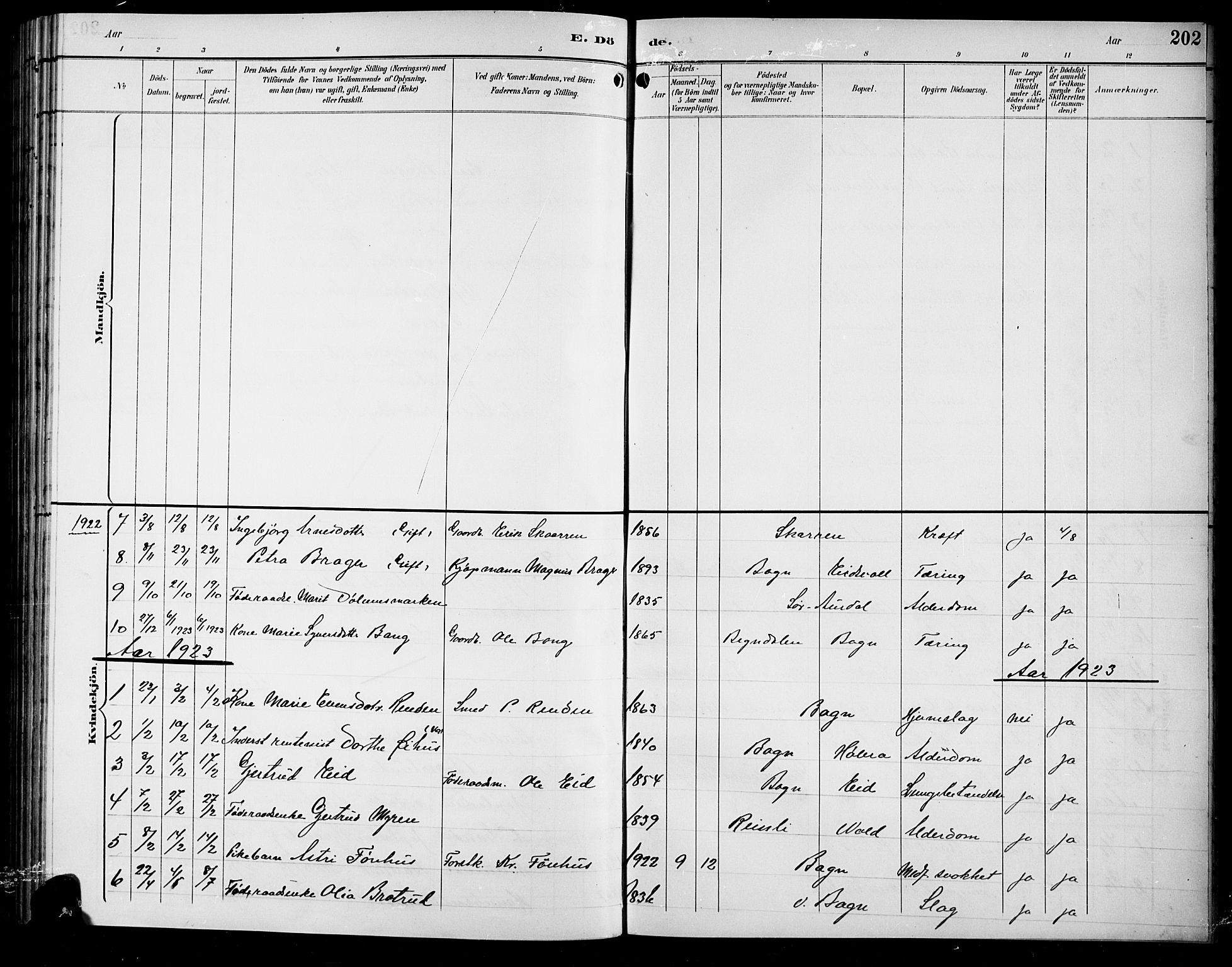 Sør-Aurdal prestekontor, SAH/PREST-128/H/Ha/Hab/L0009: Parish register (copy) no. 9, 1894-1924, p. 202