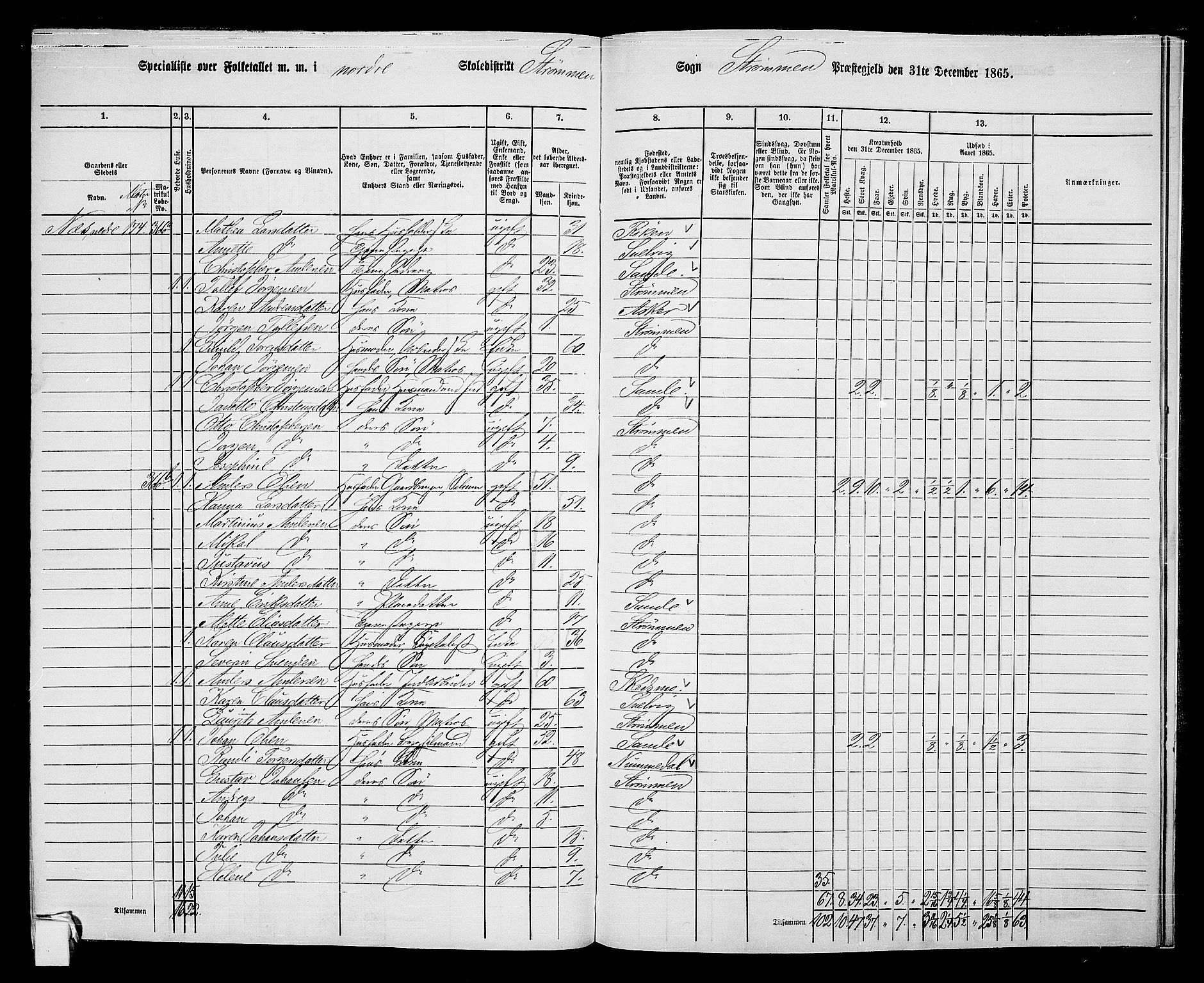 RA, 1865 census for Strømm, 1865, p. 39