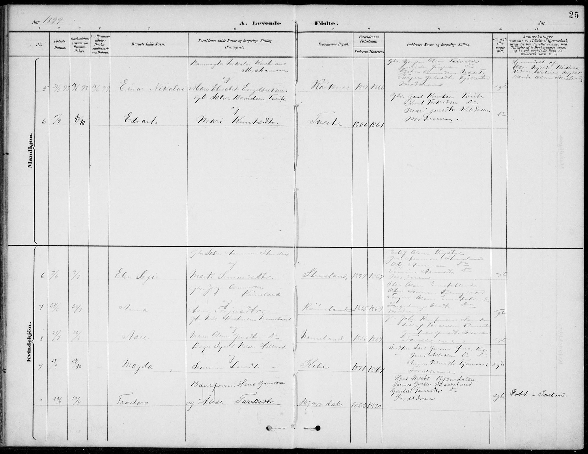 Vennesla sokneprestkontor, AV/SAK-1111-0045/Fb/Fba/L0003: Parish register (copy) no. B 3, 1890-1919, p. 25