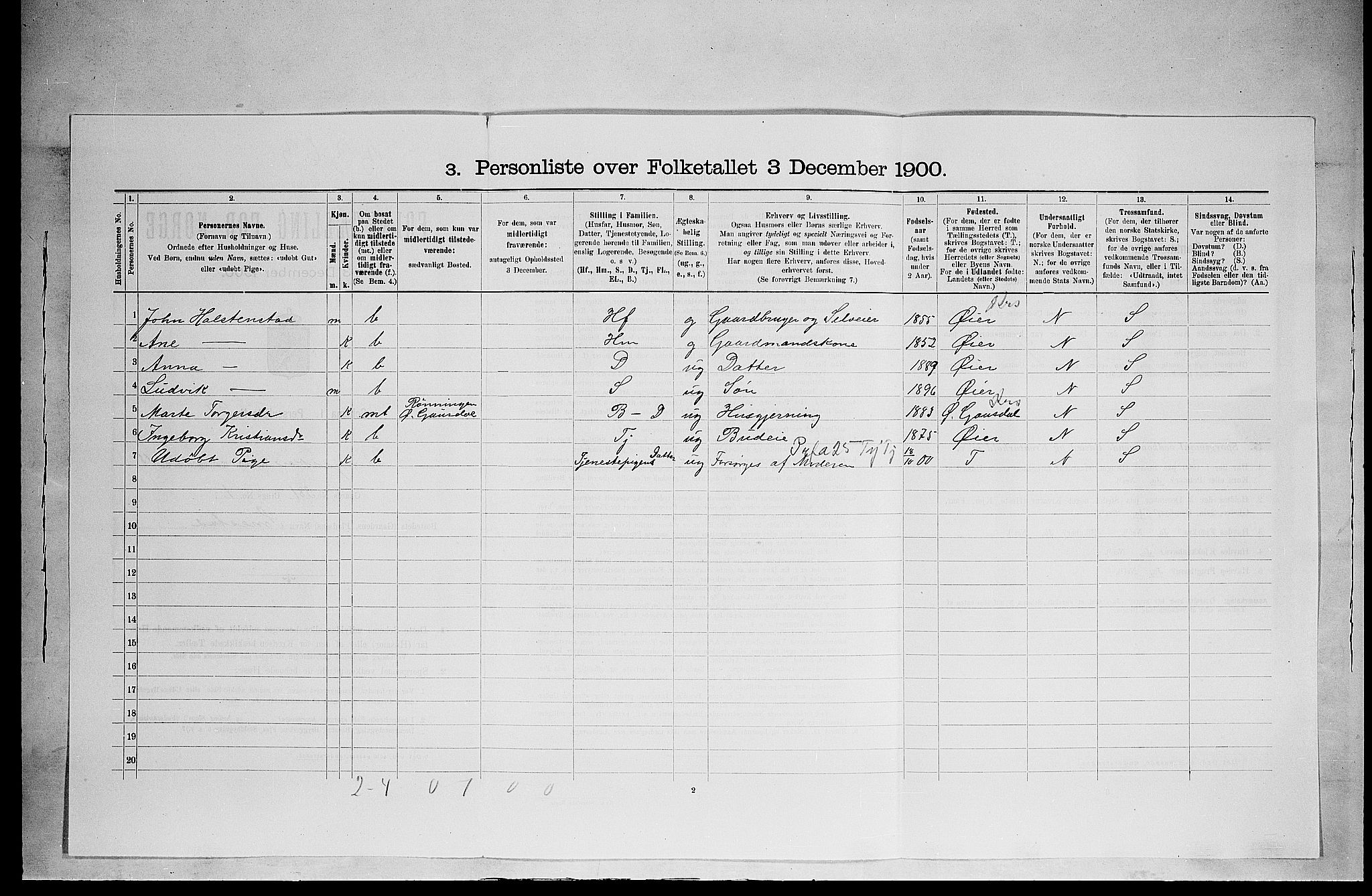 SAH, 1900 census for Ringsaker, 1900, p. 2894