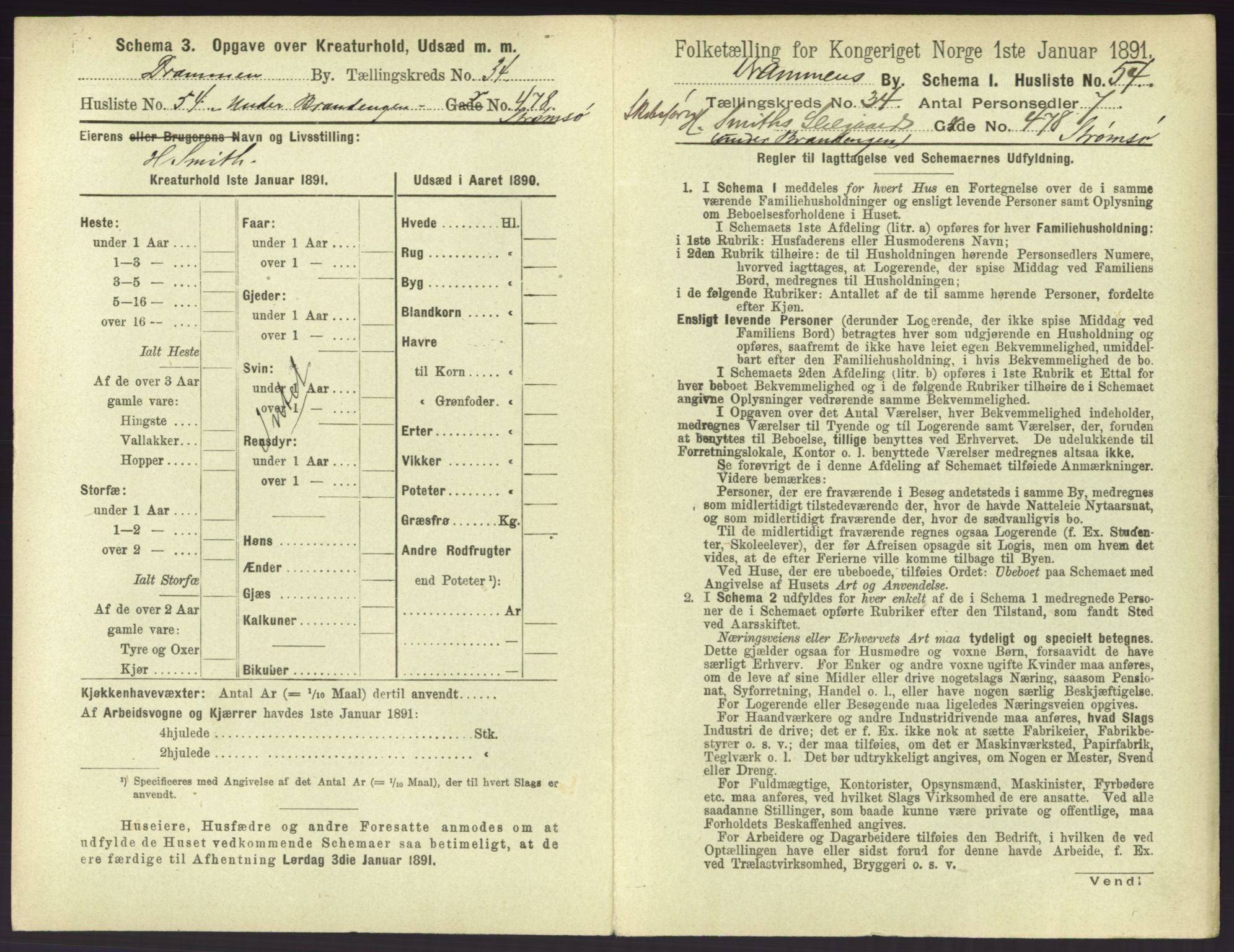 RA, 1891 census for 0602 Drammen, 1891, p. 3101