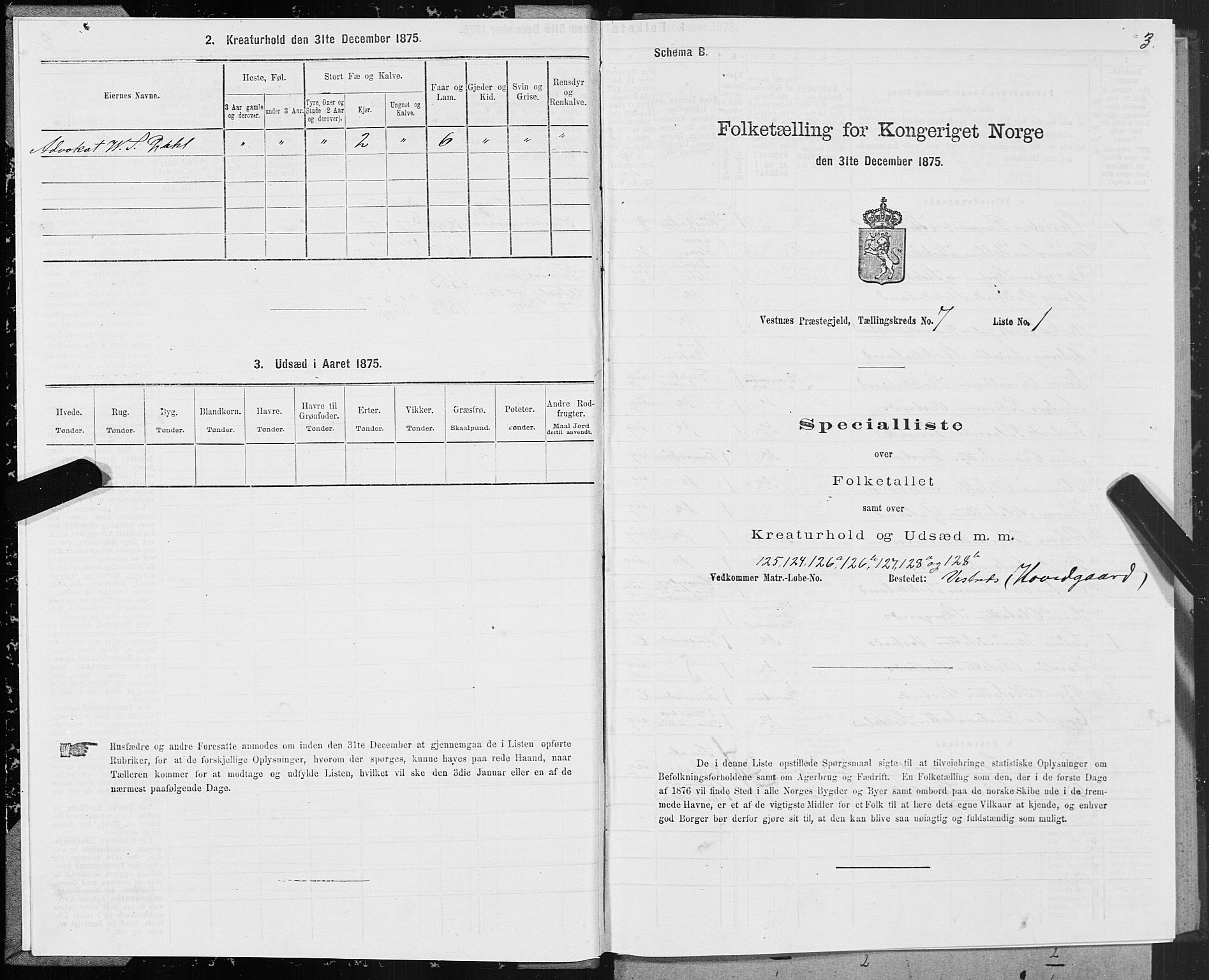 SAT, 1875 census for 1535P Vestnes, 1875, p. 3003