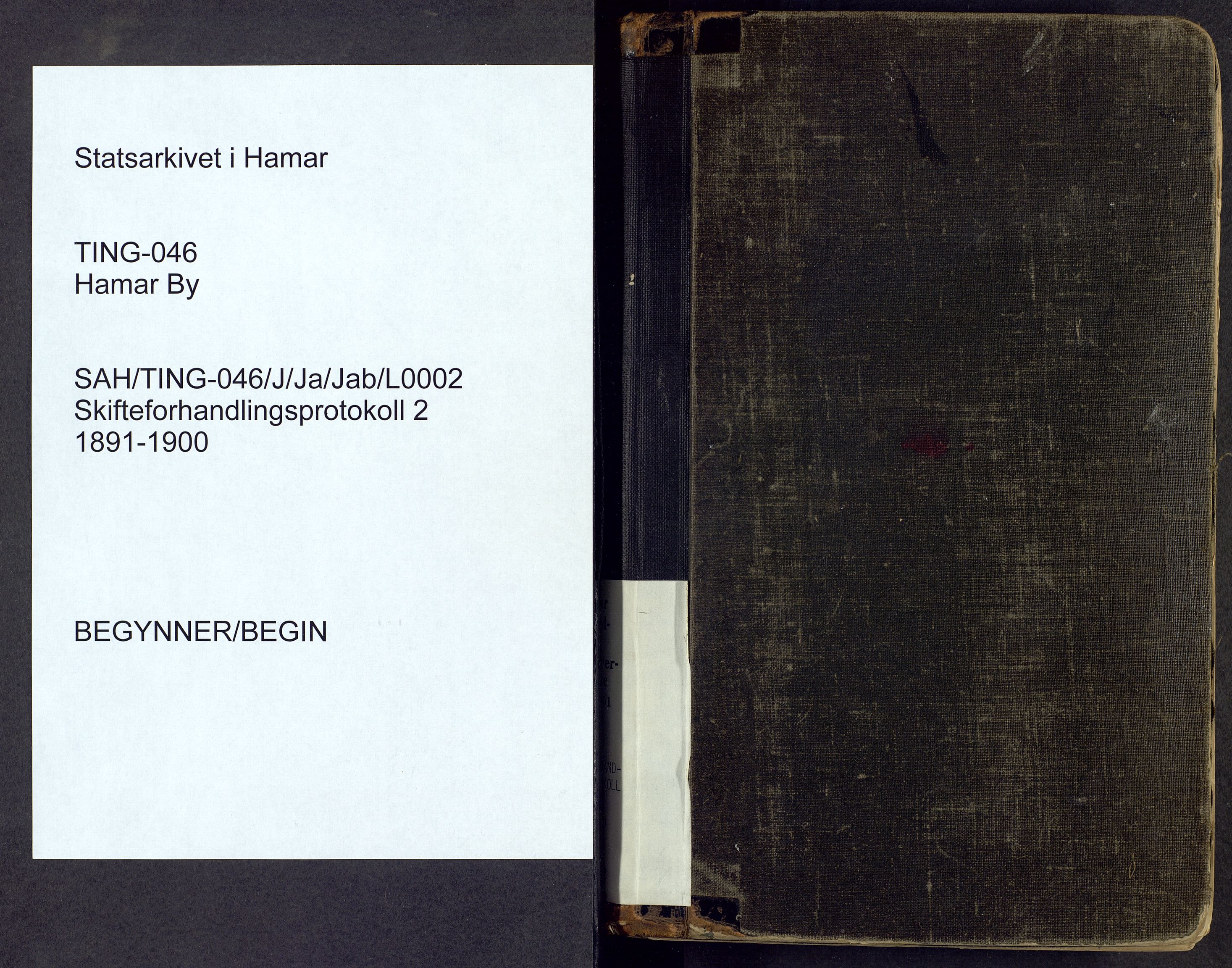 Hamar byfogd og byskriver, SAH/TING-046/J/Ja/Jab/L0002: Skifteforhandlingsprotokoll, 1891-1900