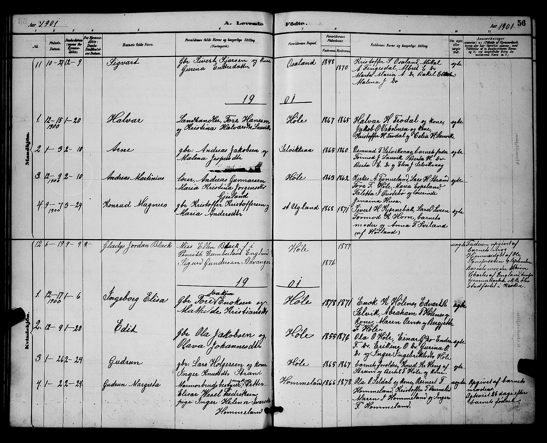 Høgsfjord sokneprestkontor, SAST/A-101624/H/Ha/Hab/L0003: Parish register (copy) no. B 3, 1886-1905, p. 56