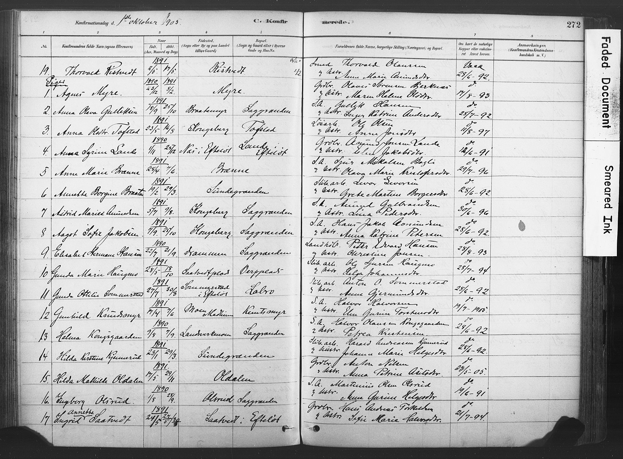 Sandsvær kirkebøker, AV/SAKO-A-244/F/Fd/L0001: Parish register (official) no. IV 1, 1878-1906, p. 272