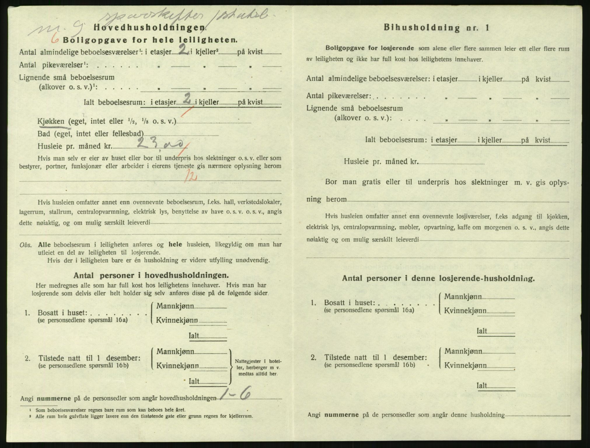 SAKO, 1920 census for Larvik, 1920, p. 4959