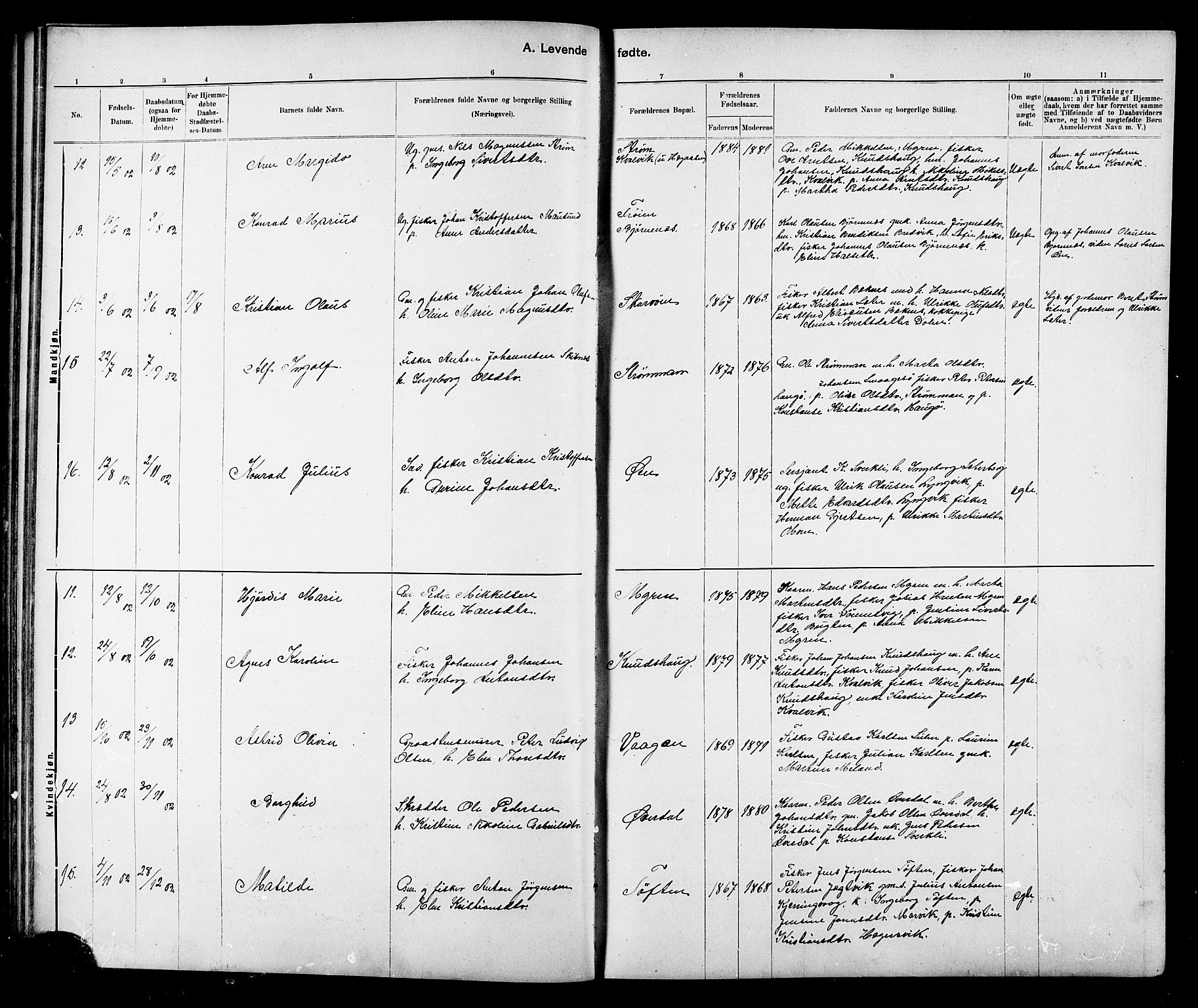 Ministerialprotokoller, klokkerbøker og fødselsregistre - Sør-Trøndelag, AV/SAT-A-1456/634/L0542: Parish register (copy) no. 634C04, 1892-1916