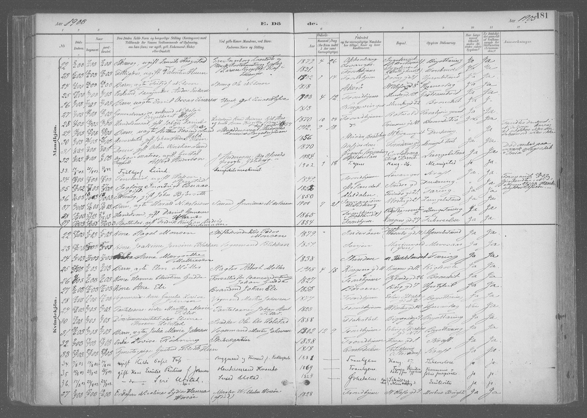 Ministerialprotokoller, klokkerbøker og fødselsregistre - Sør-Trøndelag, SAT/A-1456/601/L0064: Parish register (official) no. 601A31, 1891-1911, p. 181