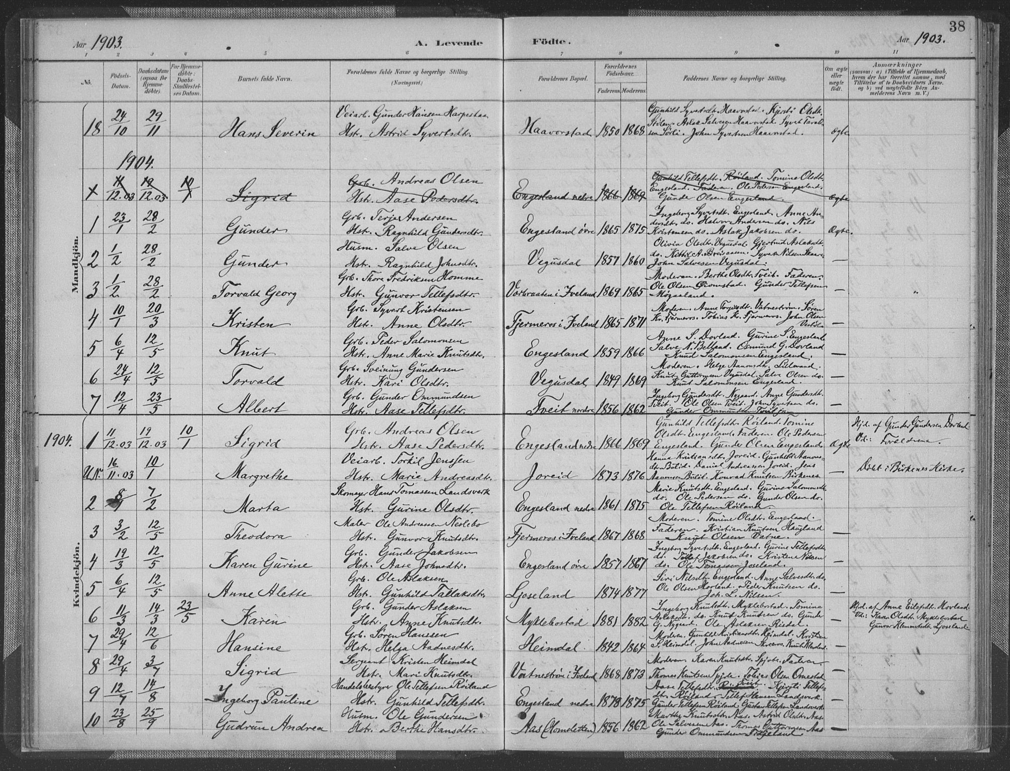 Herefoss sokneprestkontor, SAK/1111-0019/F/Fa/Fab/L0004: Parish register (official) no. A 4, 1887-1909, p. 38