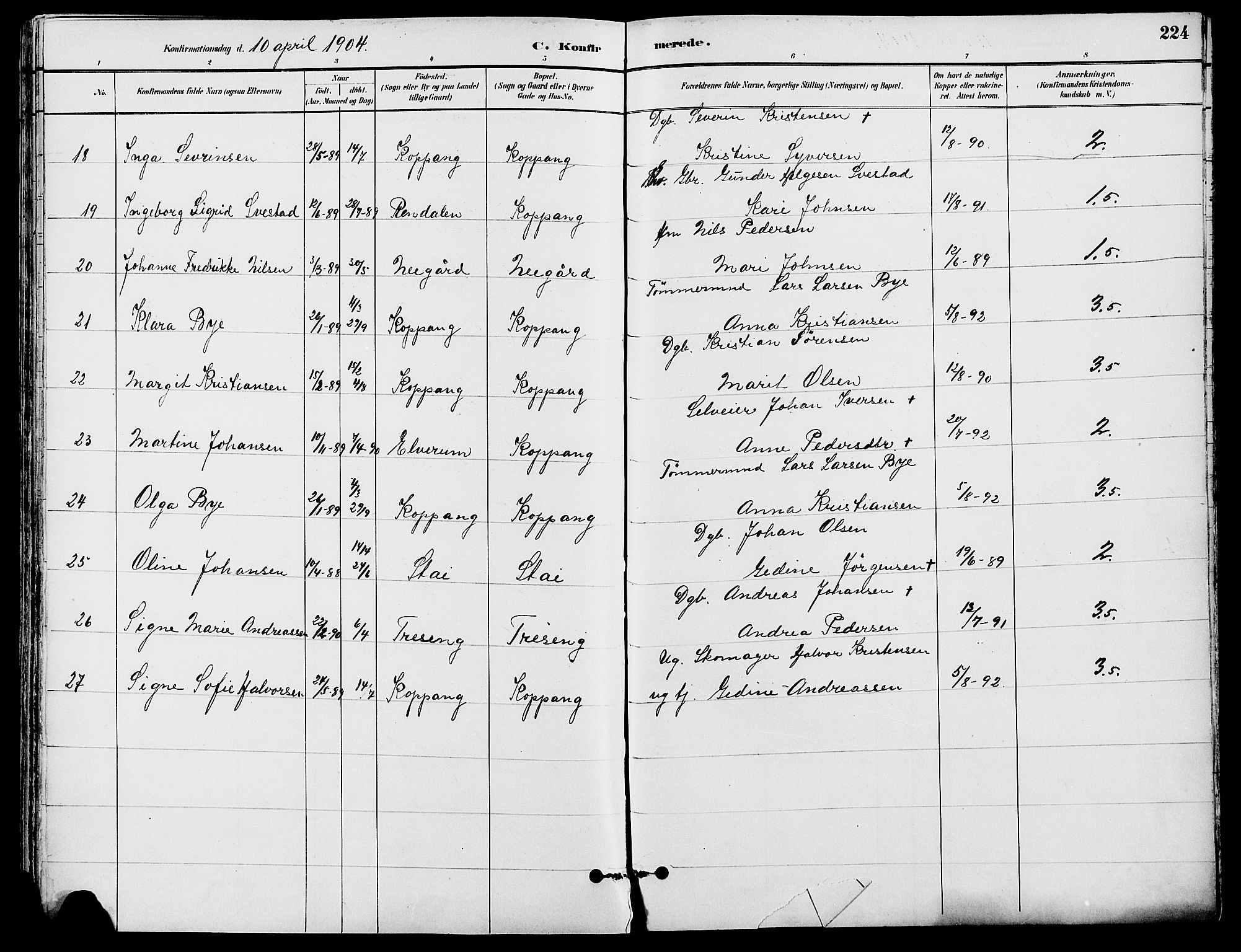 Stor-Elvdal prestekontor, AV/SAH-PREST-052/H/Ha/Haa/L0002: Parish register (official) no. 2, 1882-1907, p. 224